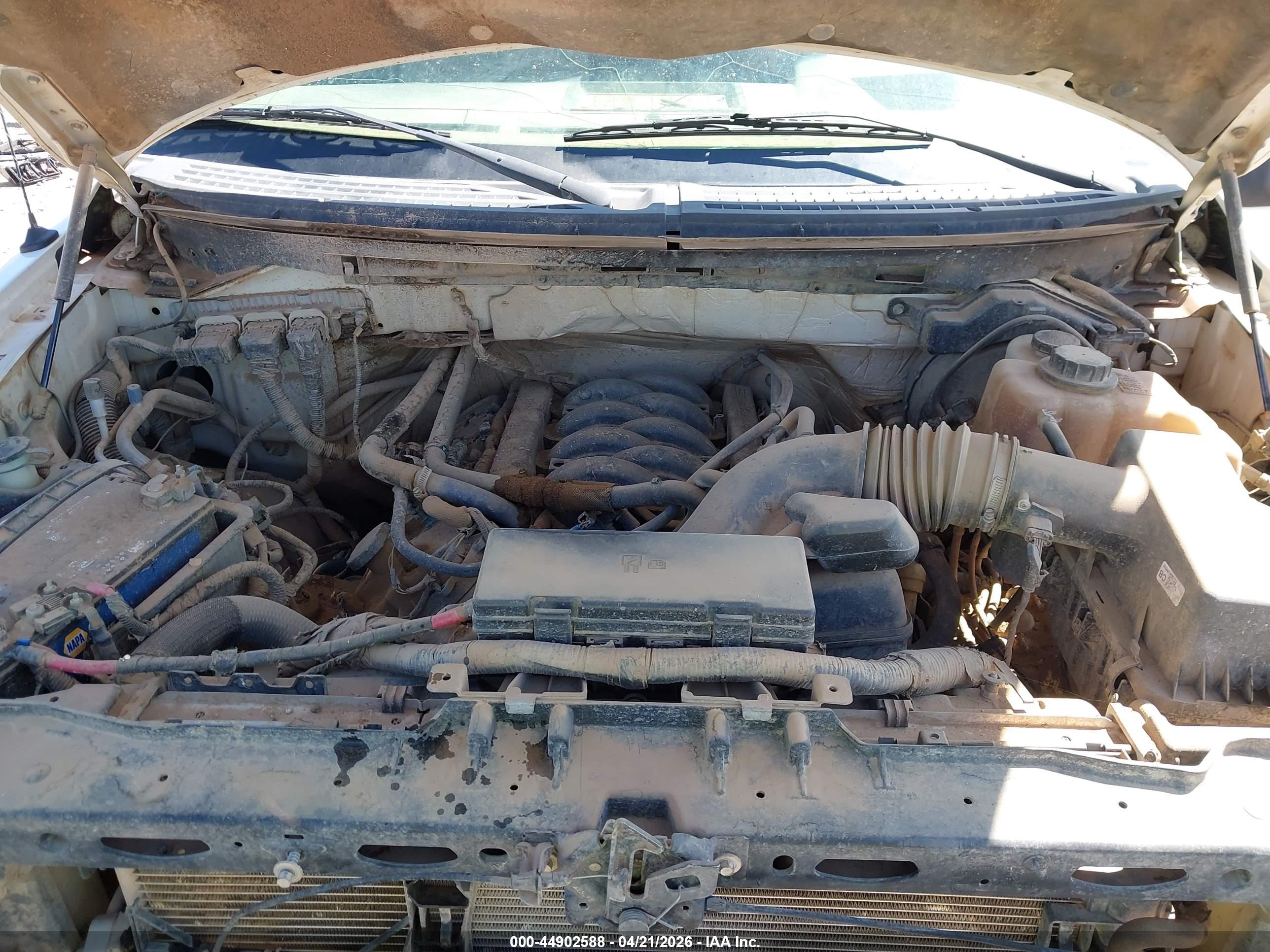 FORD F-150 image 10