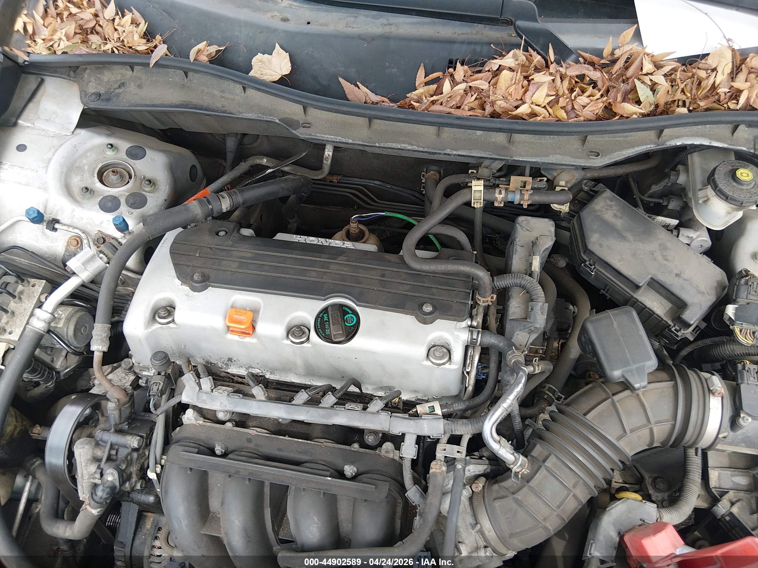 HONDA ACCORD image 10