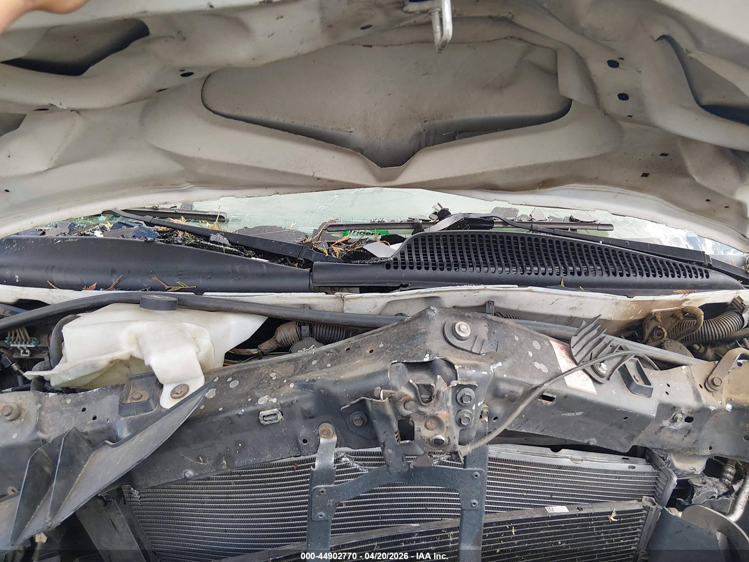 CHEVROLET EXPRESS image 10