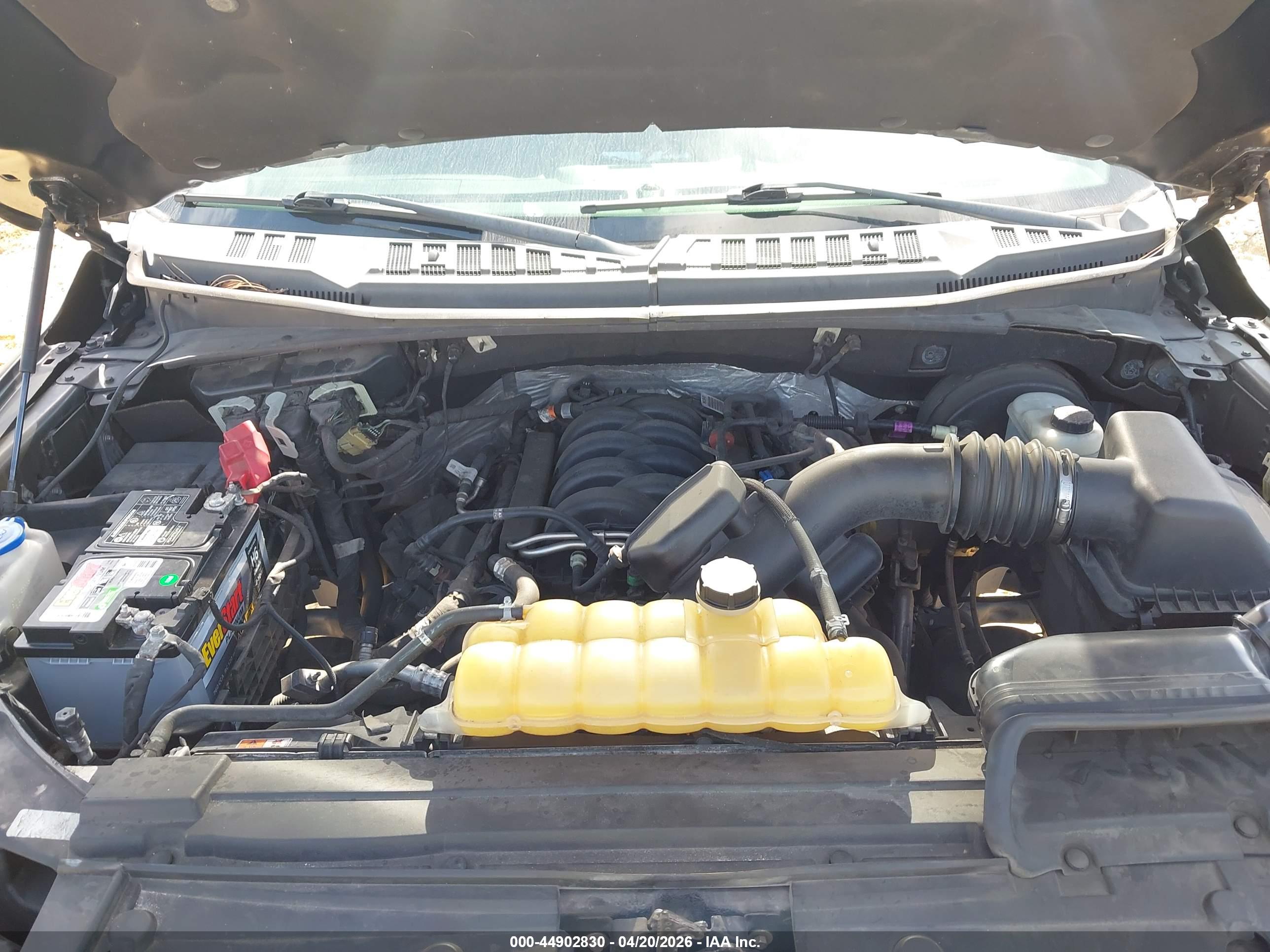 FORD F-150 image 10