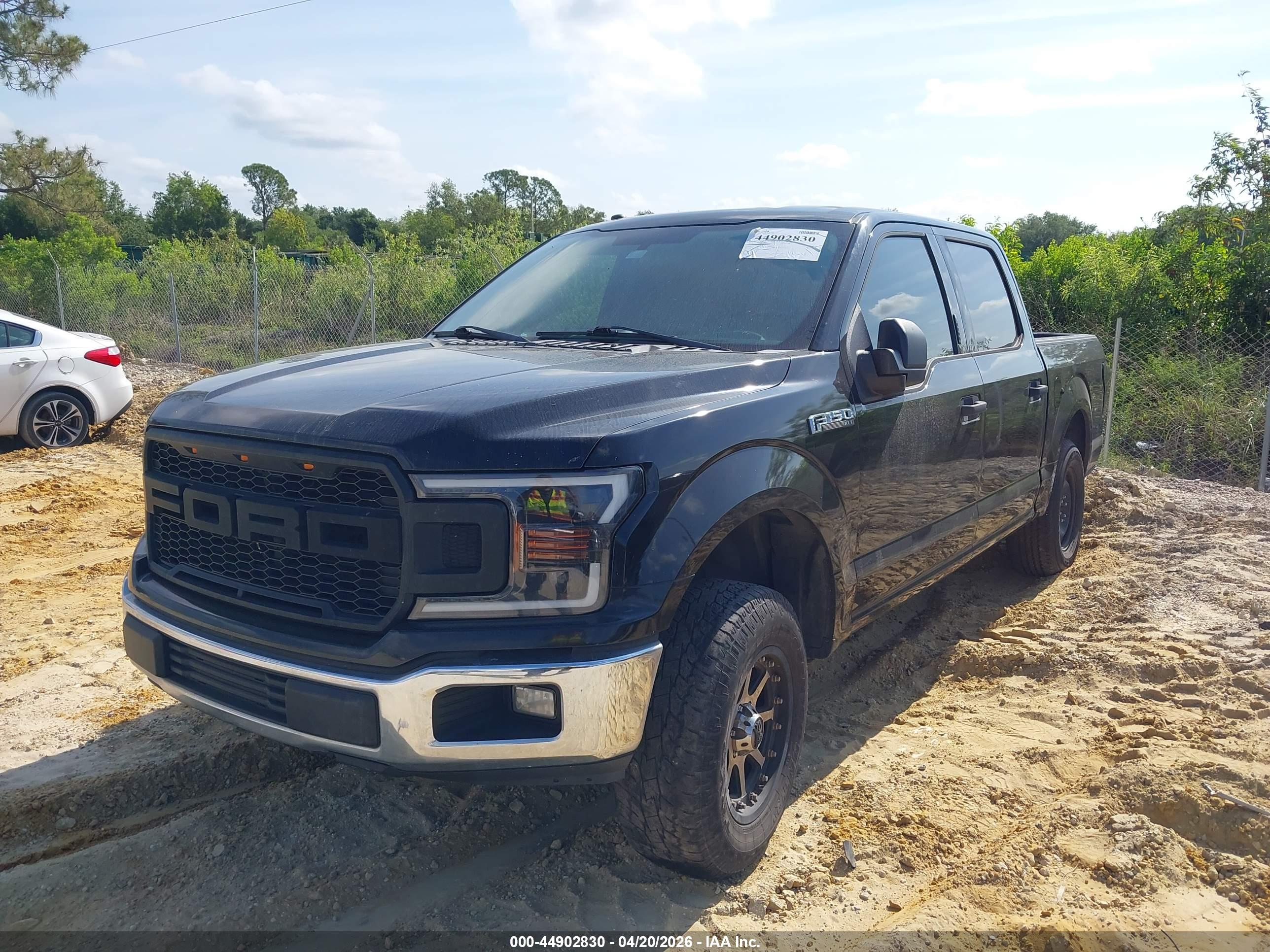 FORD F-150 image 2