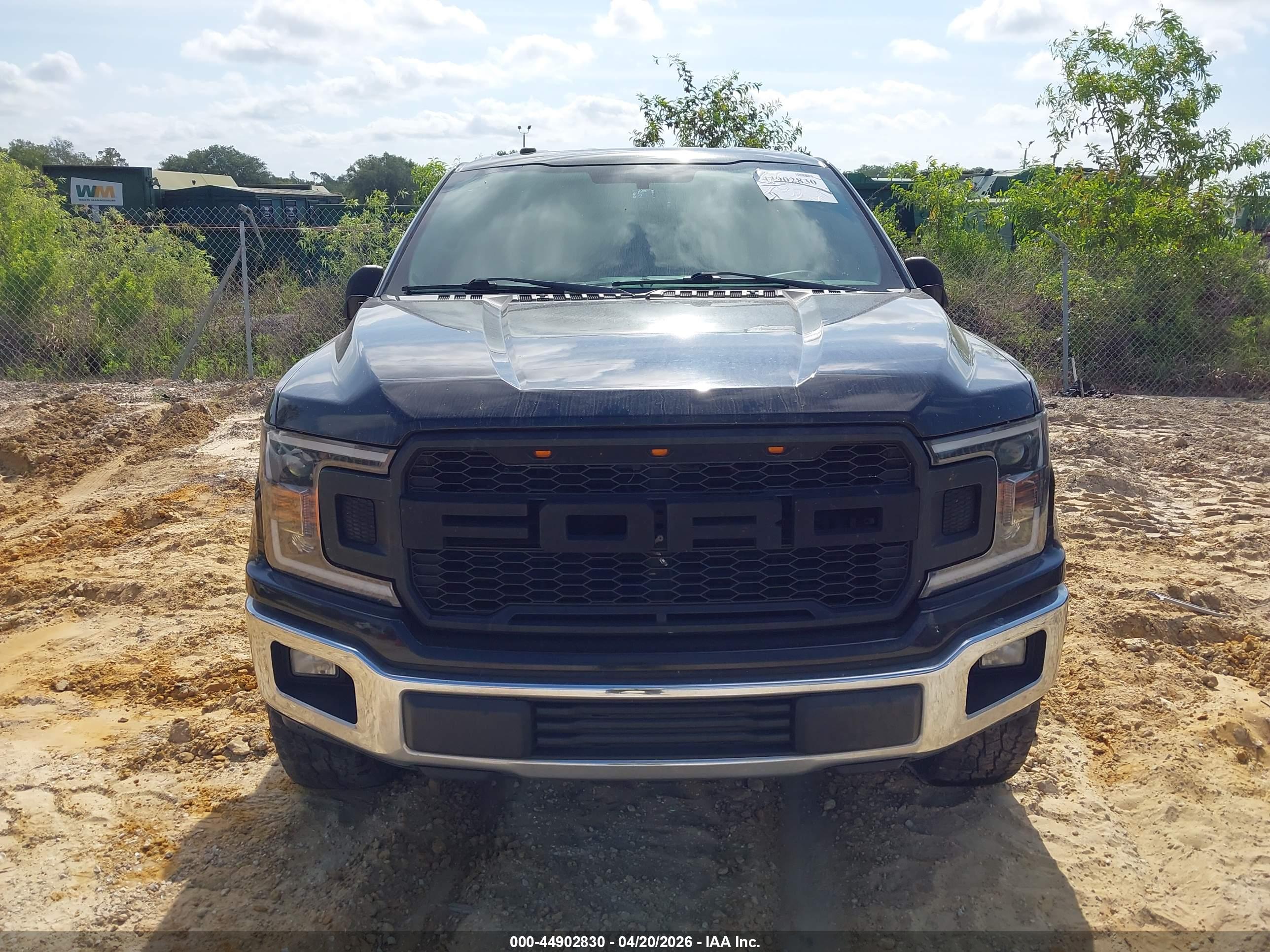 FORD F-150 image 6