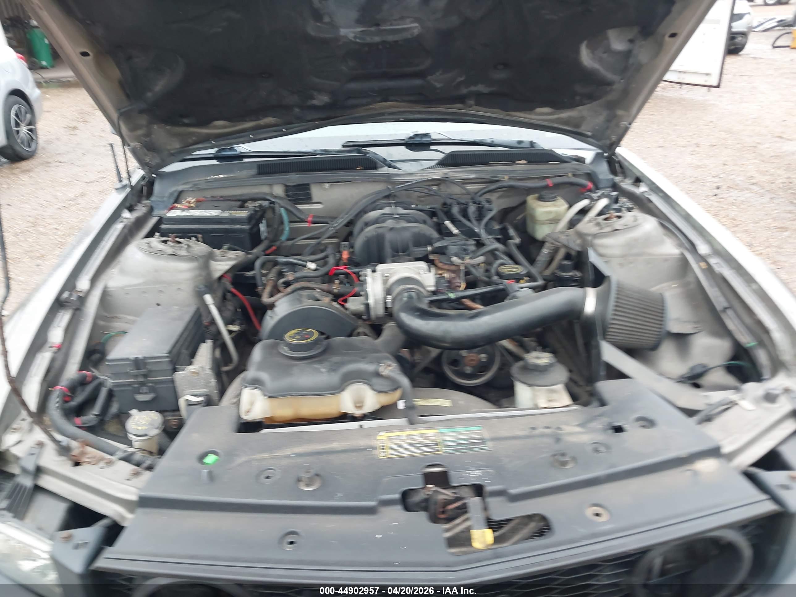 FORD MUSTANG image 10