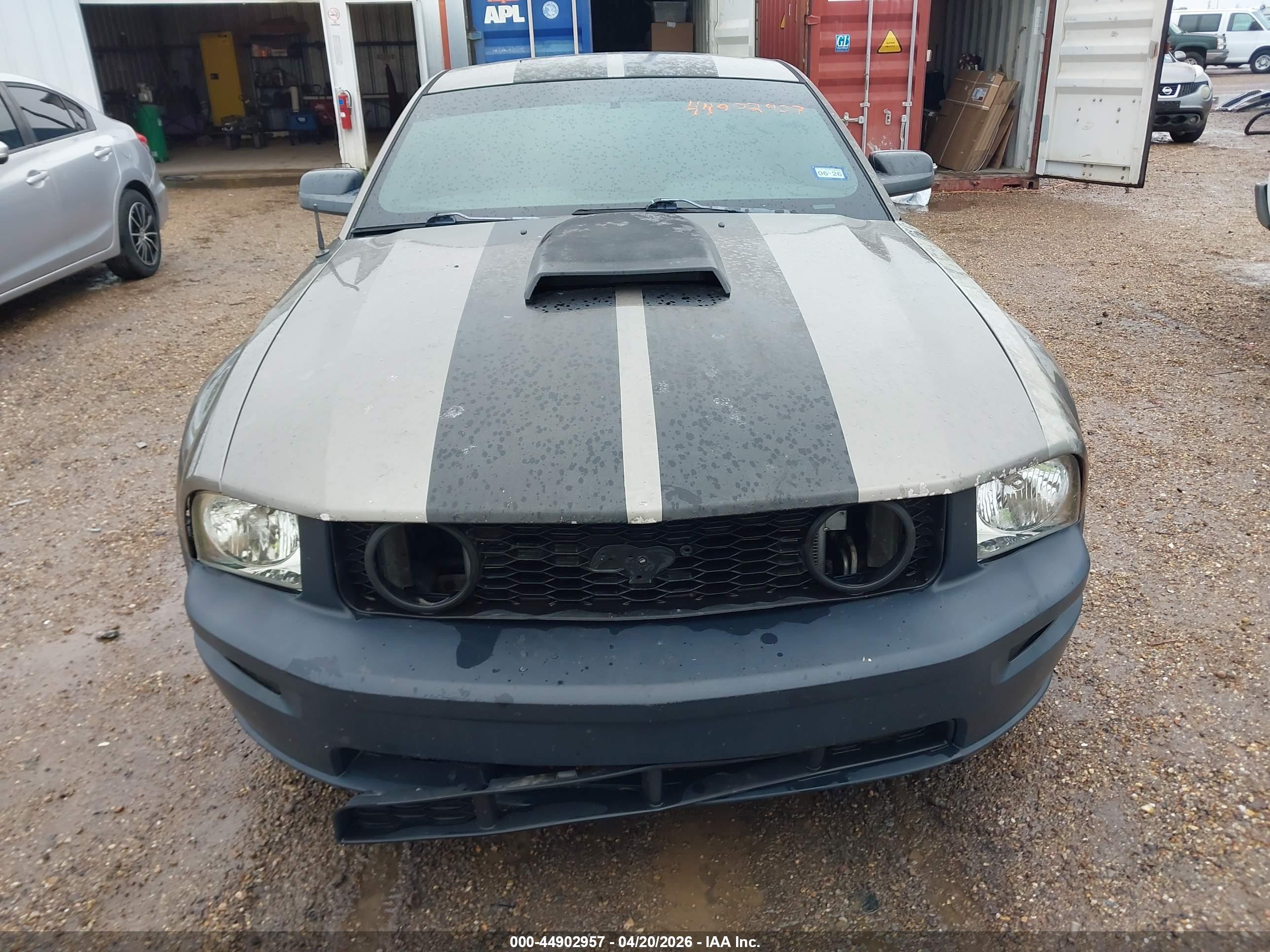 FORD MUSTANG image 6