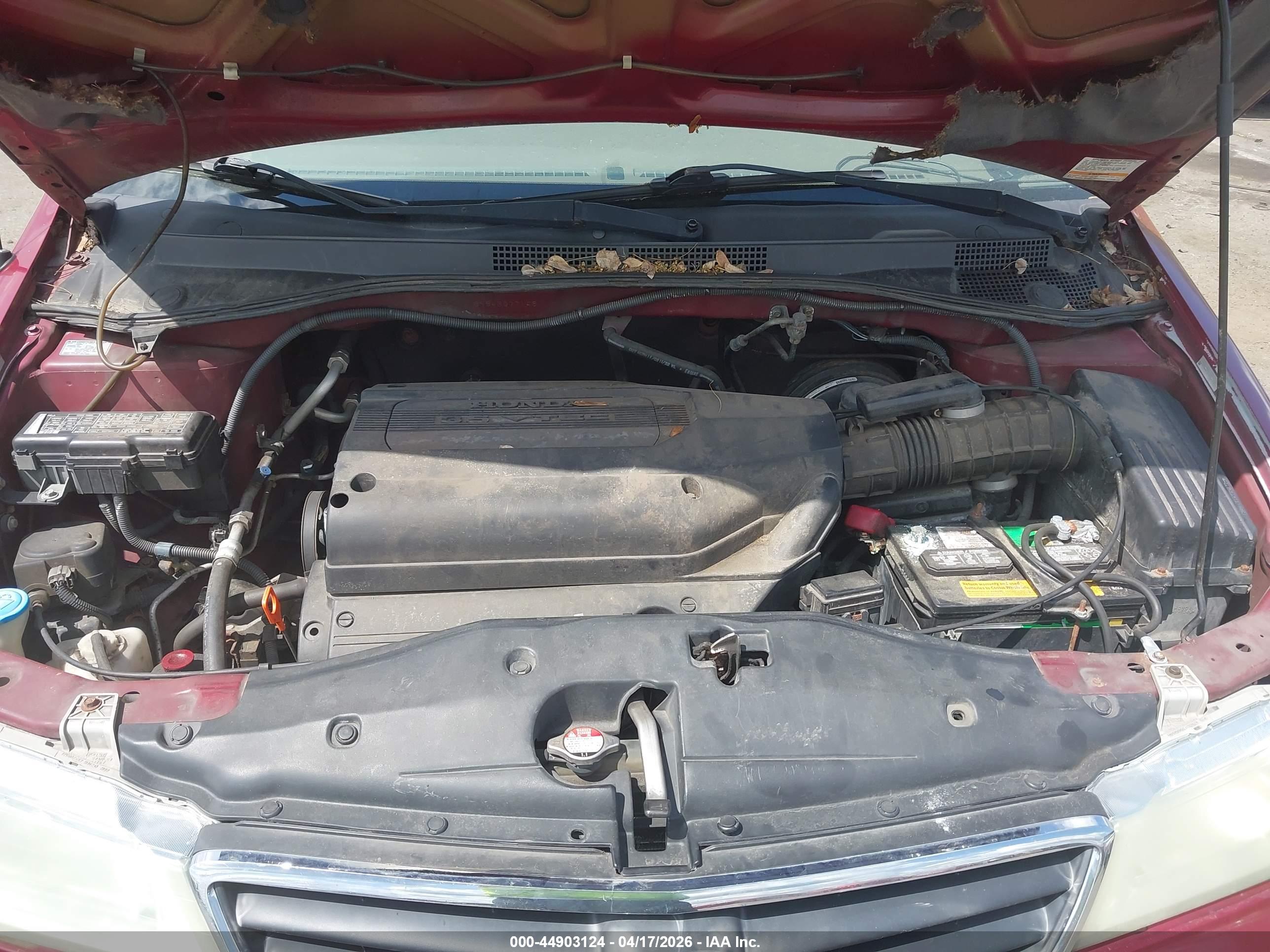 HONDA ODYSSEY image 10
