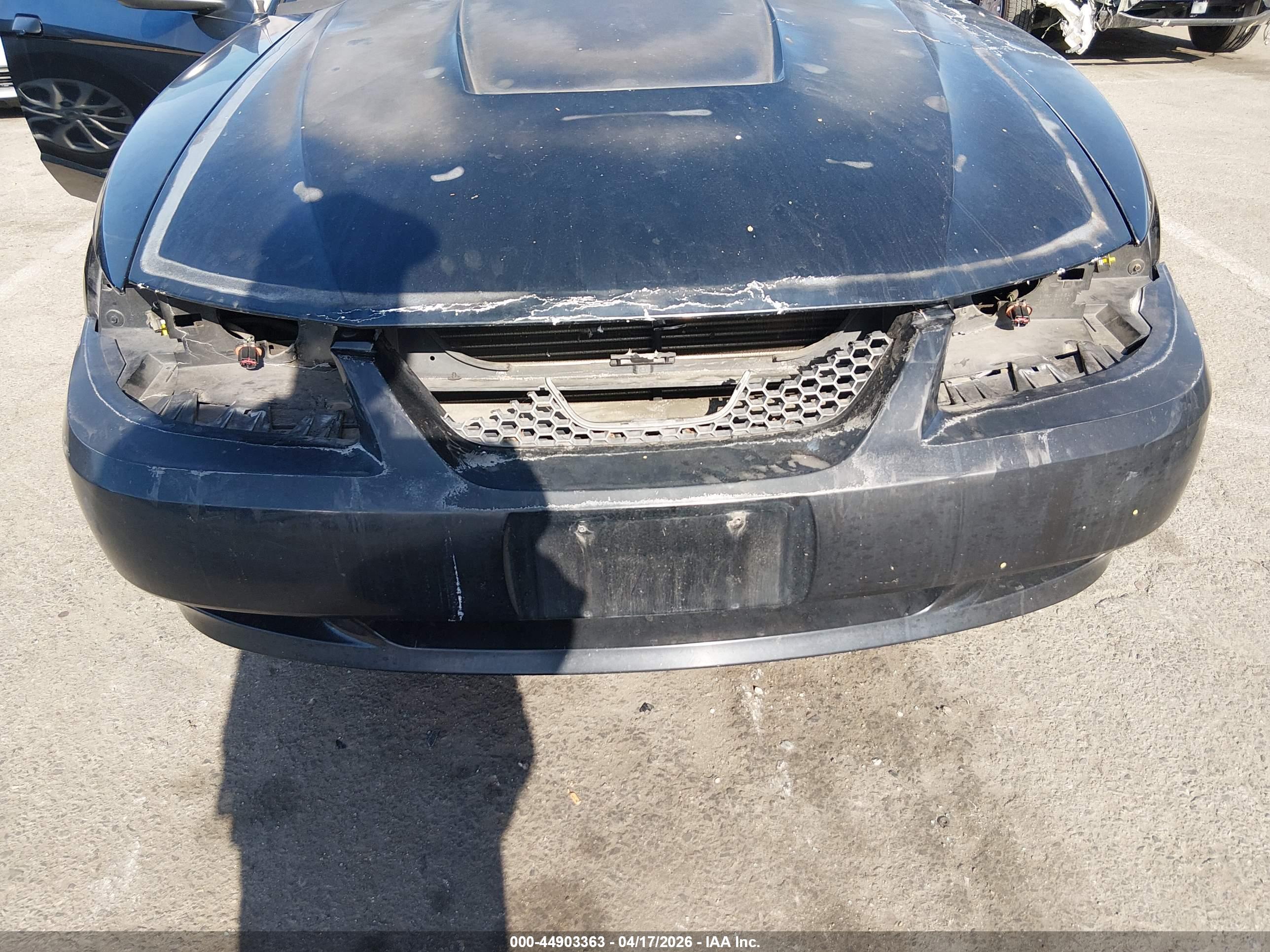FORD MUSTANG image 6