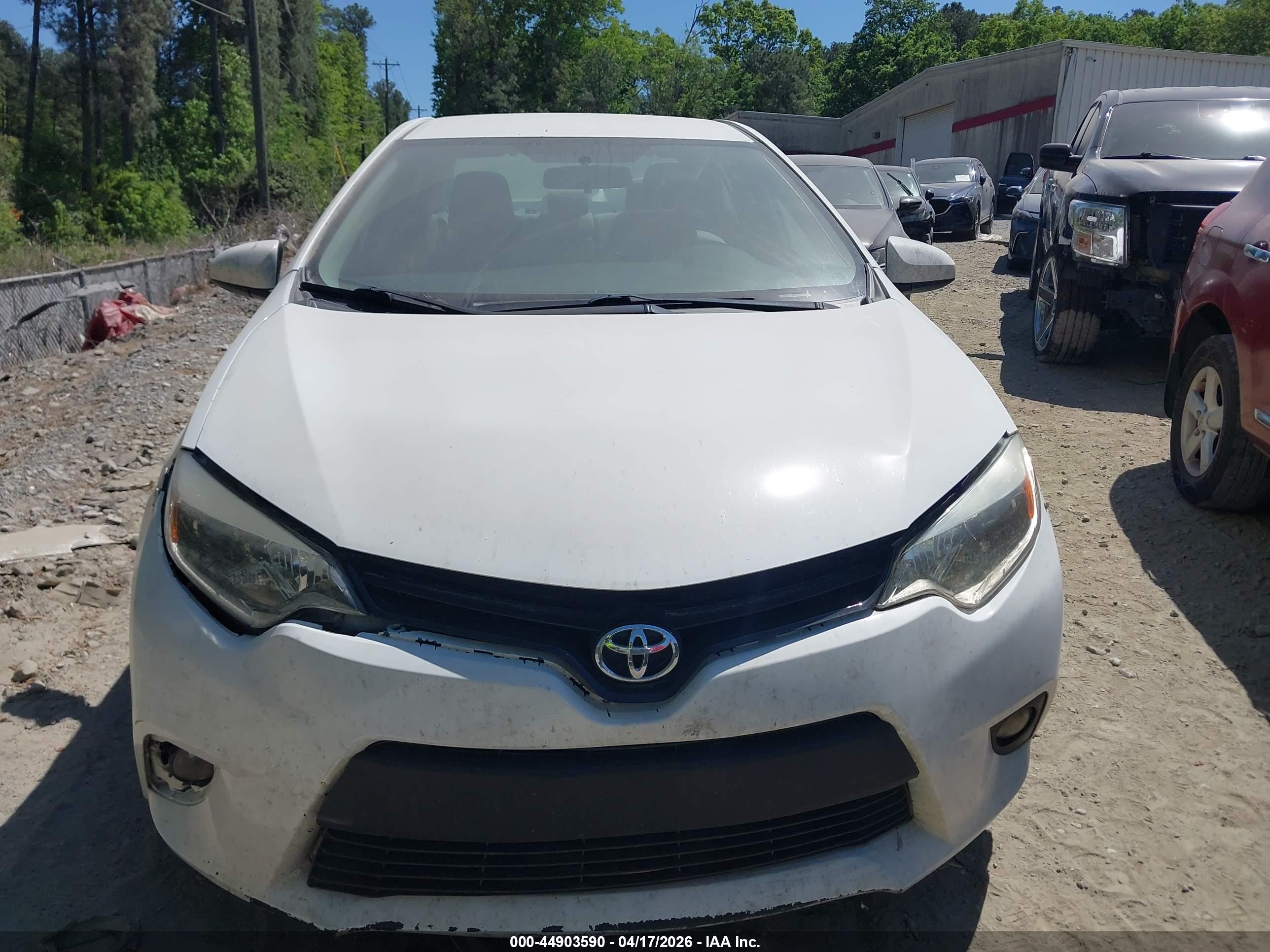 TOYOTA COROLLA image 6