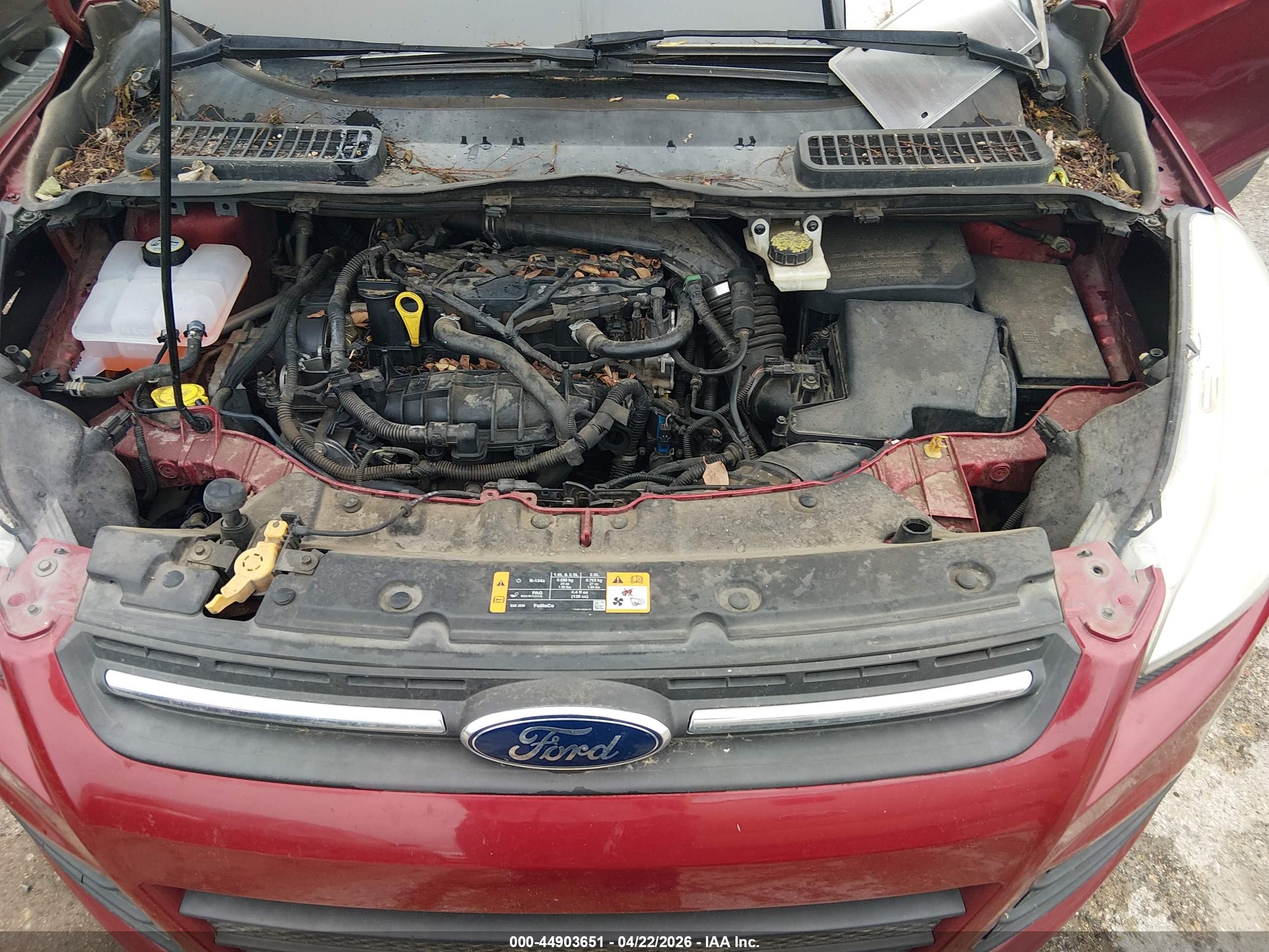 FORD ESCAPE image 10