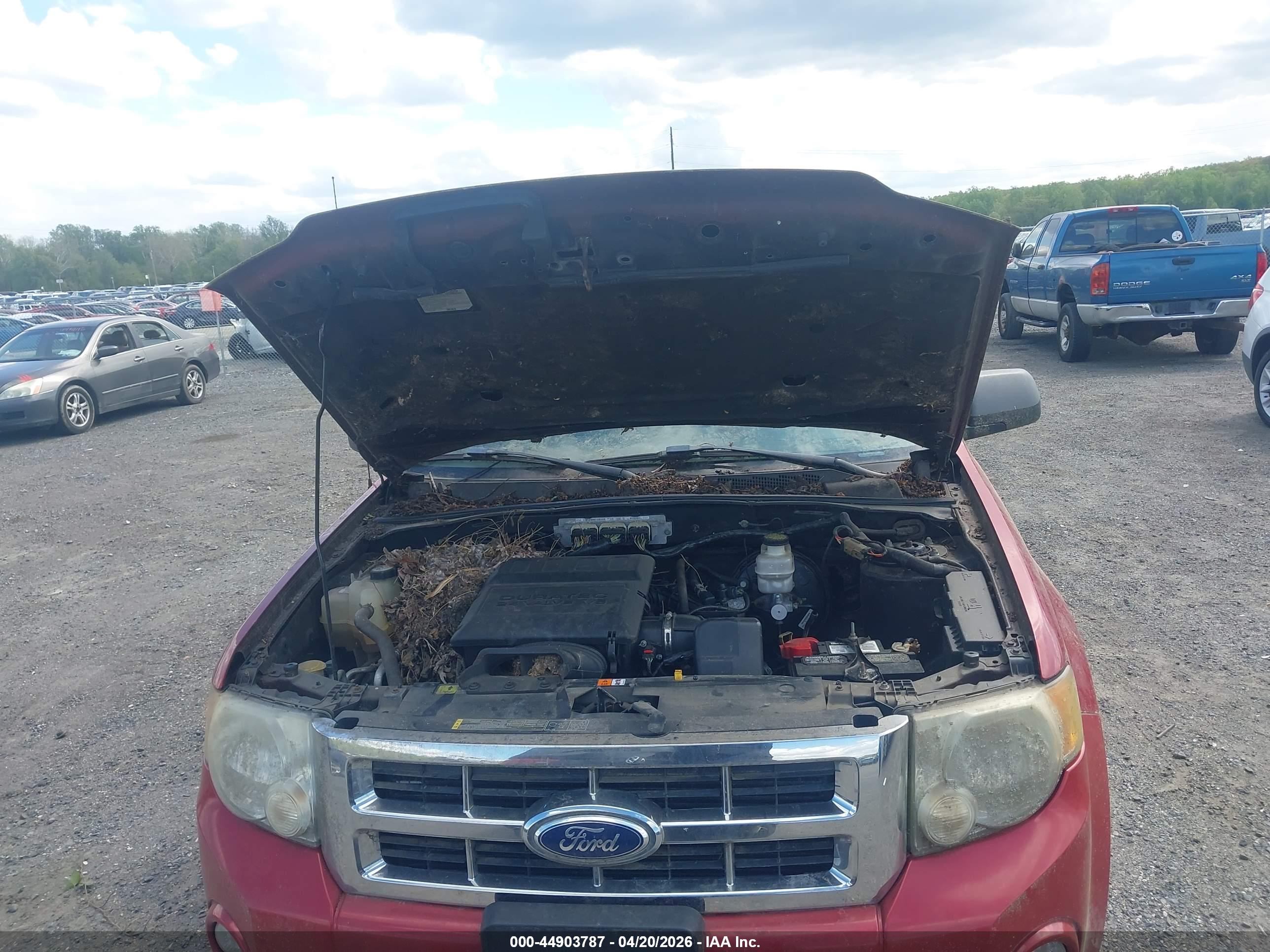 FORD ESCAPE image 10