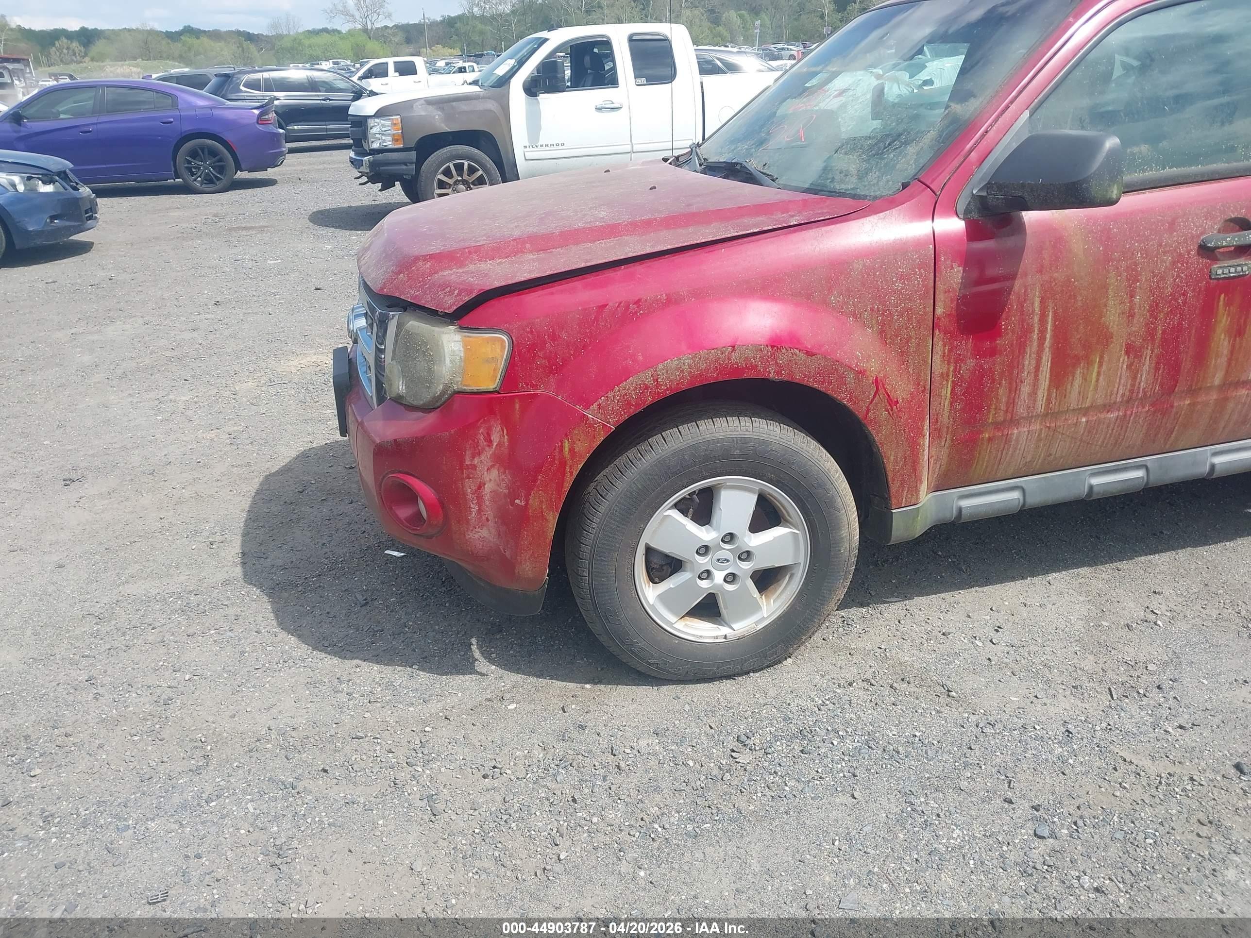 FORD ESCAPE image 6