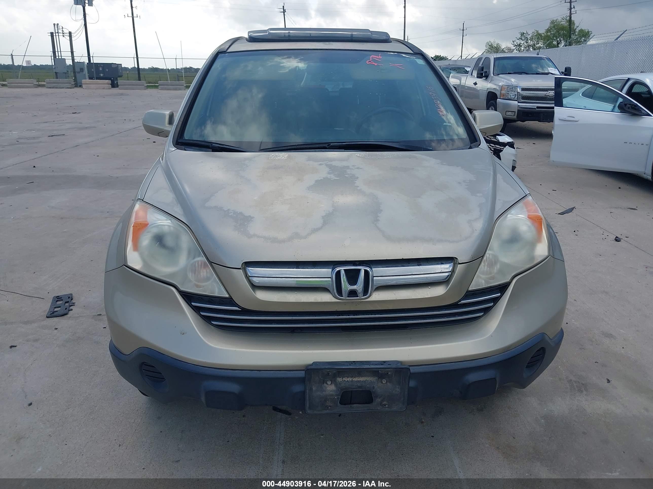 HONDA CR-V image 6