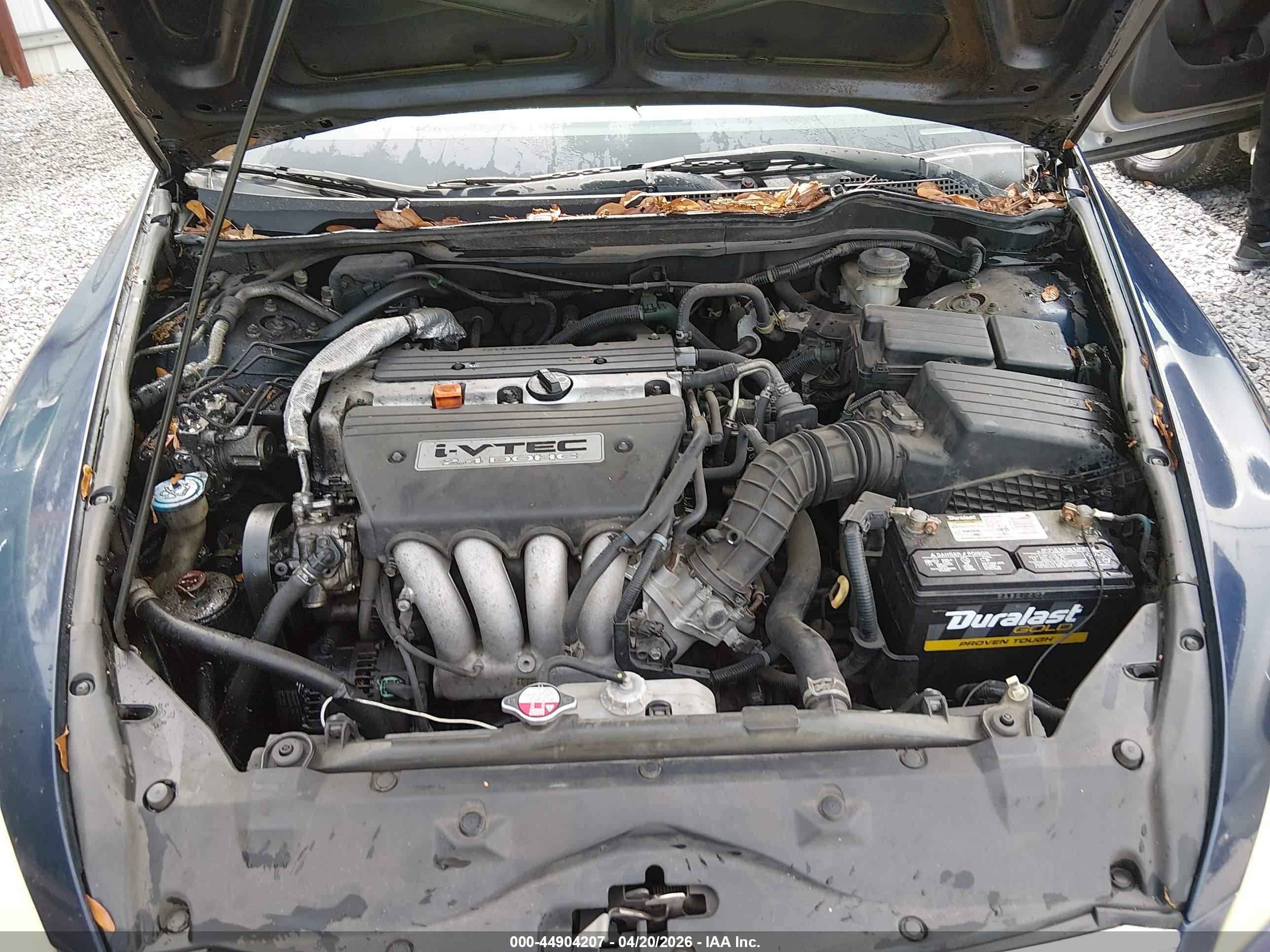 HONDA ACCORD image 10