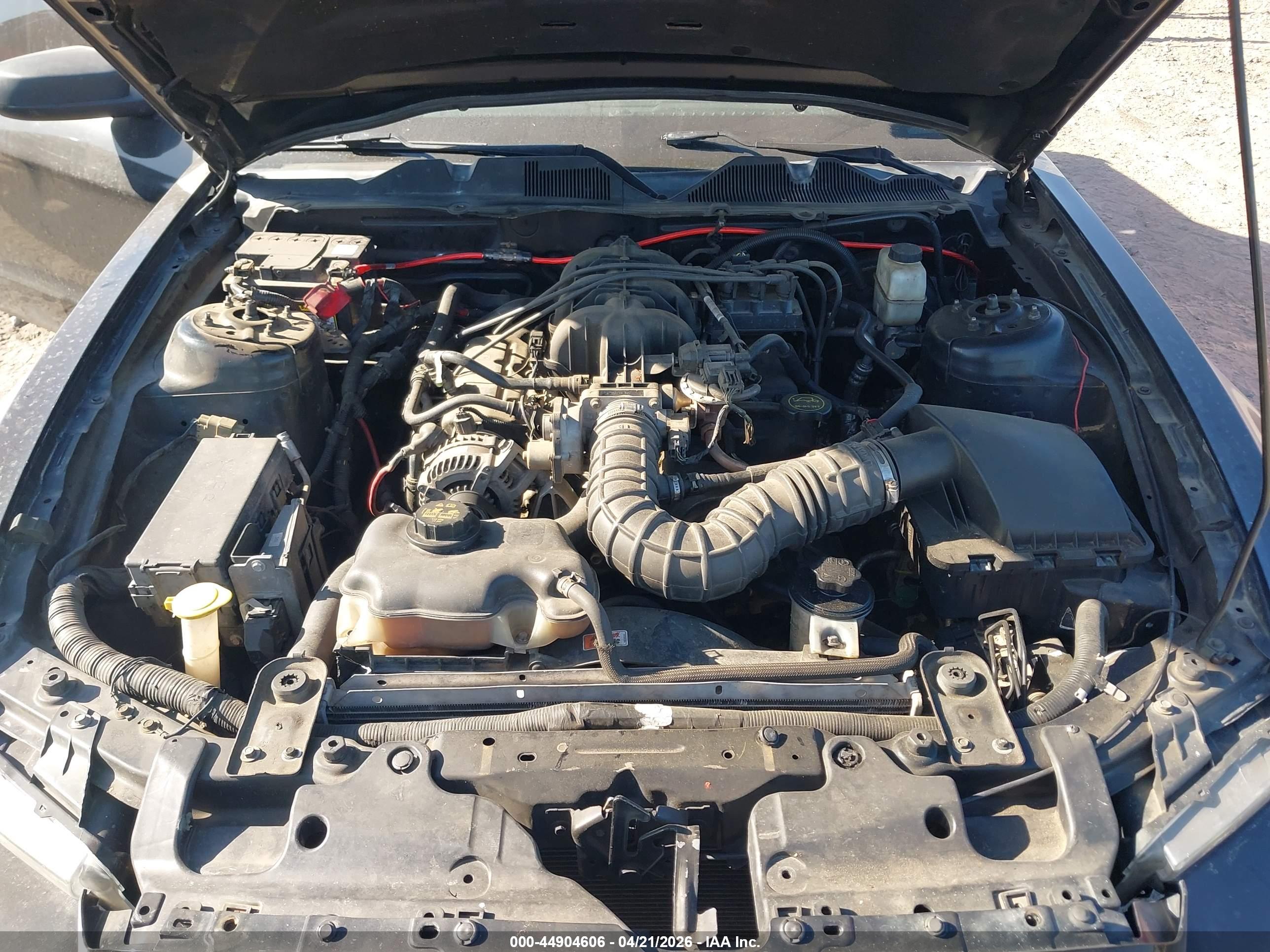 FORD MUSTANG image 10