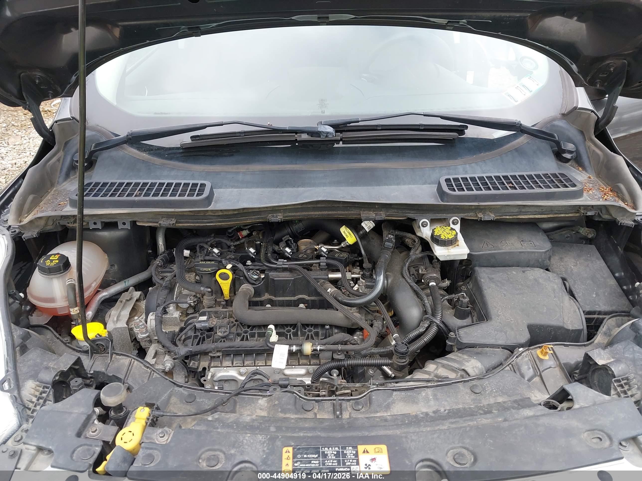 FORD ESCAPE image 10