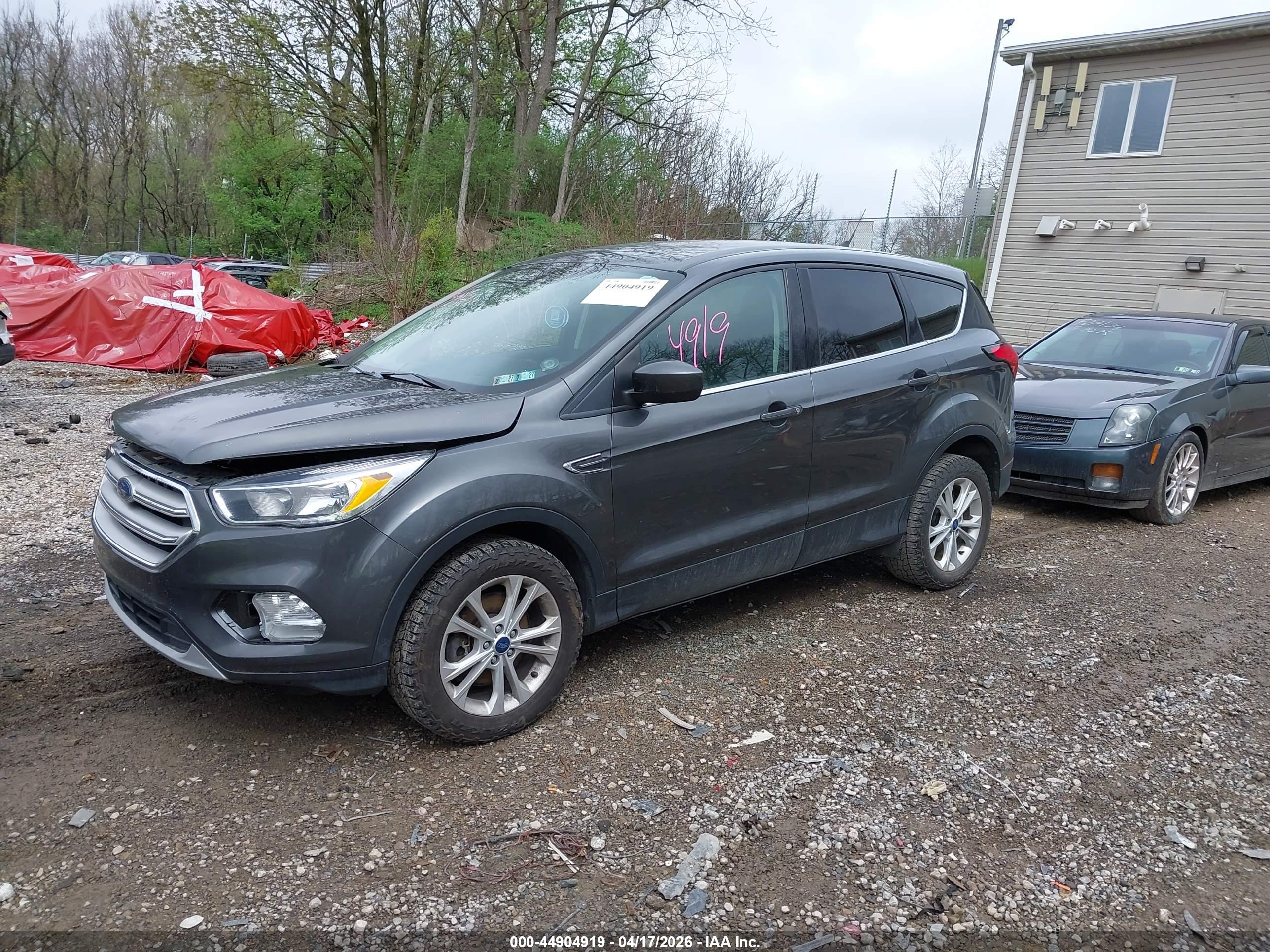 FORD ESCAPE image 2