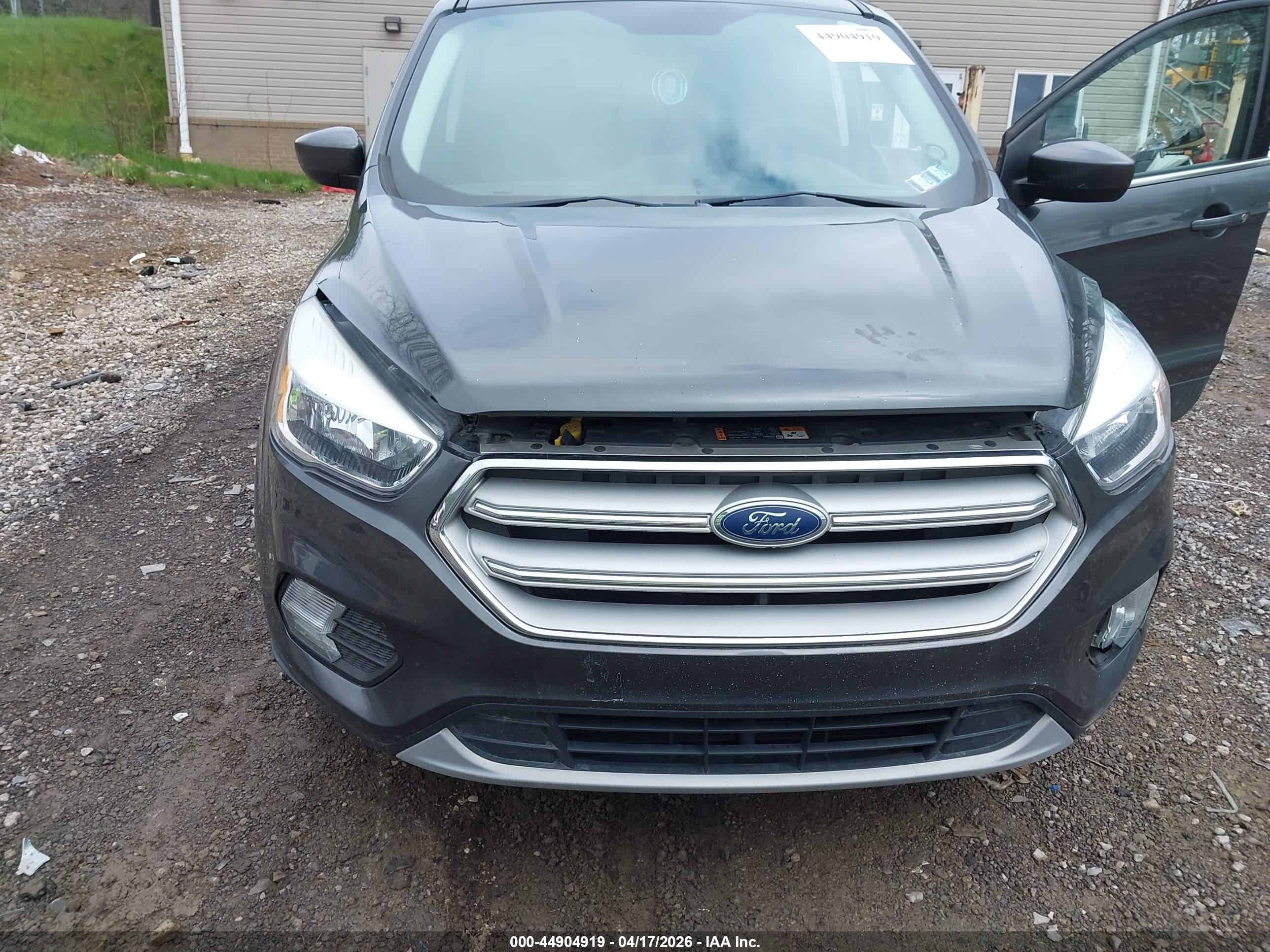 FORD ESCAPE image 6