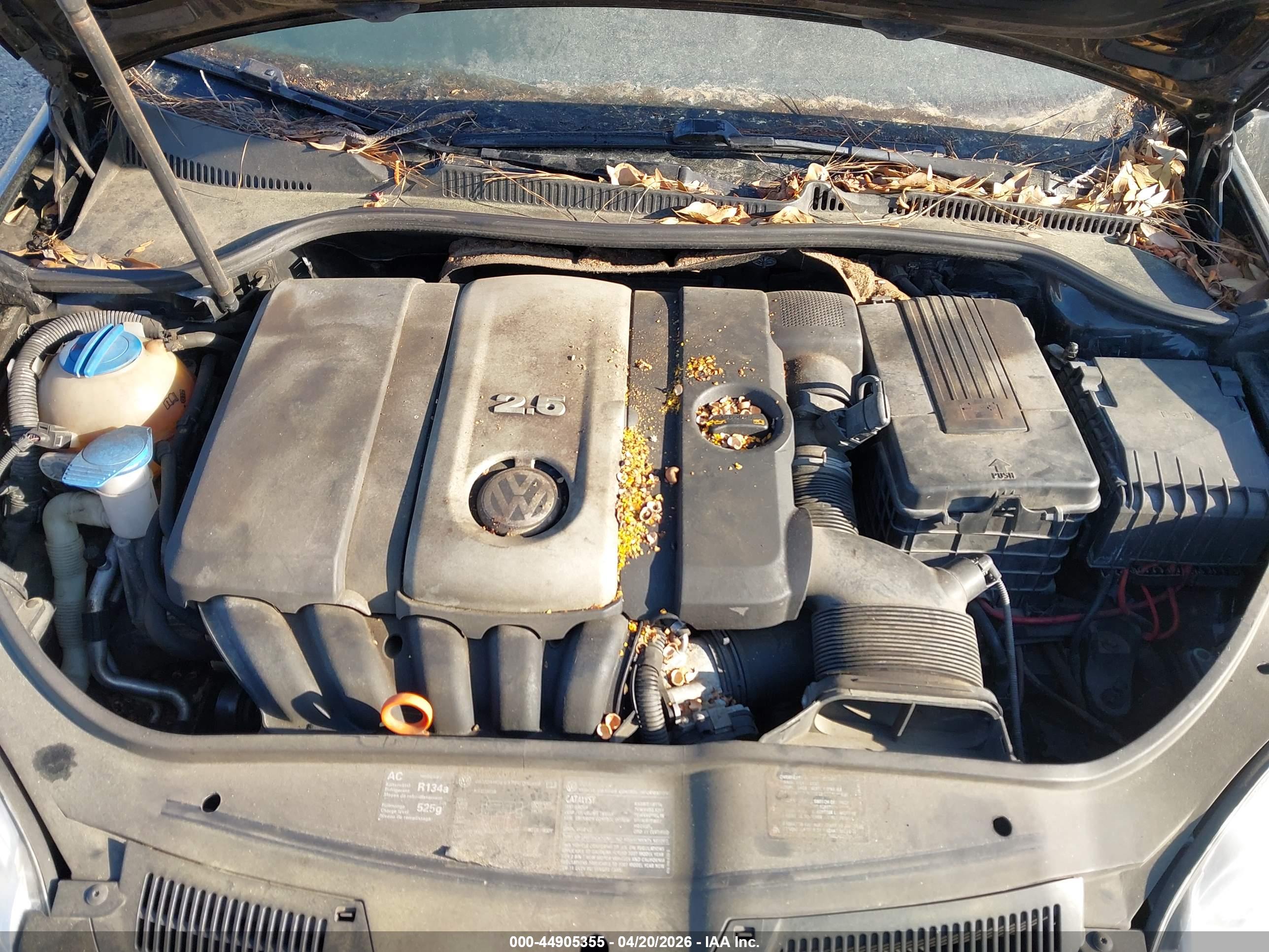 VOLKSWAGEN RABBIT image 10