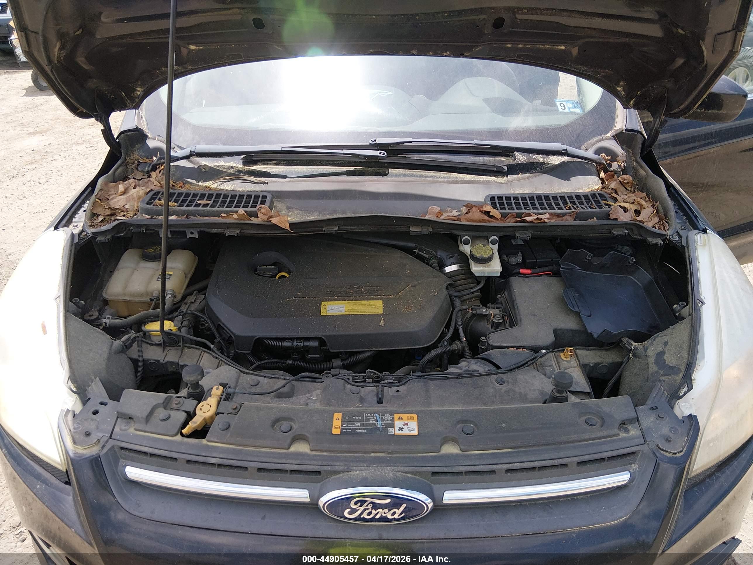 FORD ESCAPE image 10