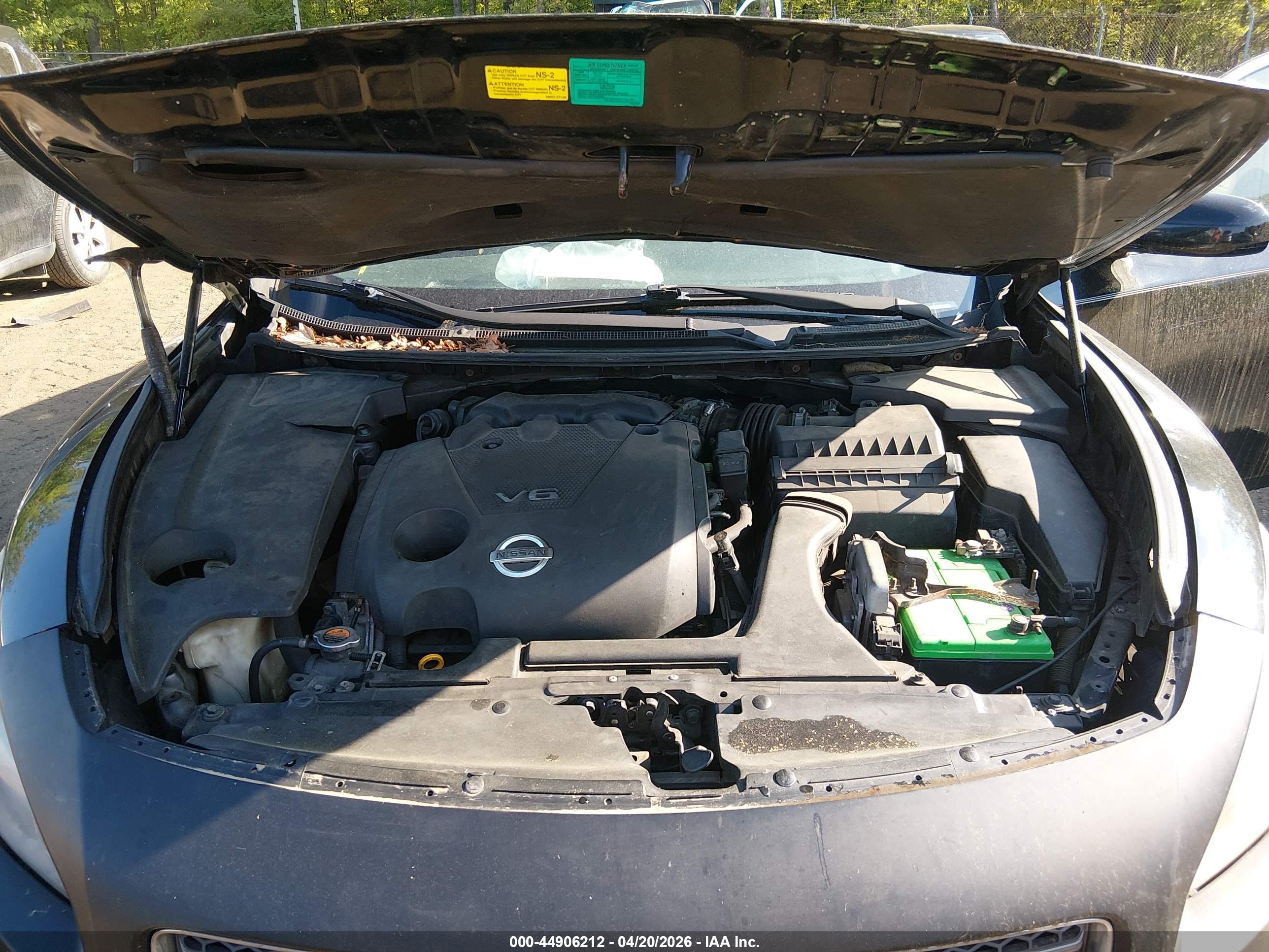 NISSAN MAXIMA image 10