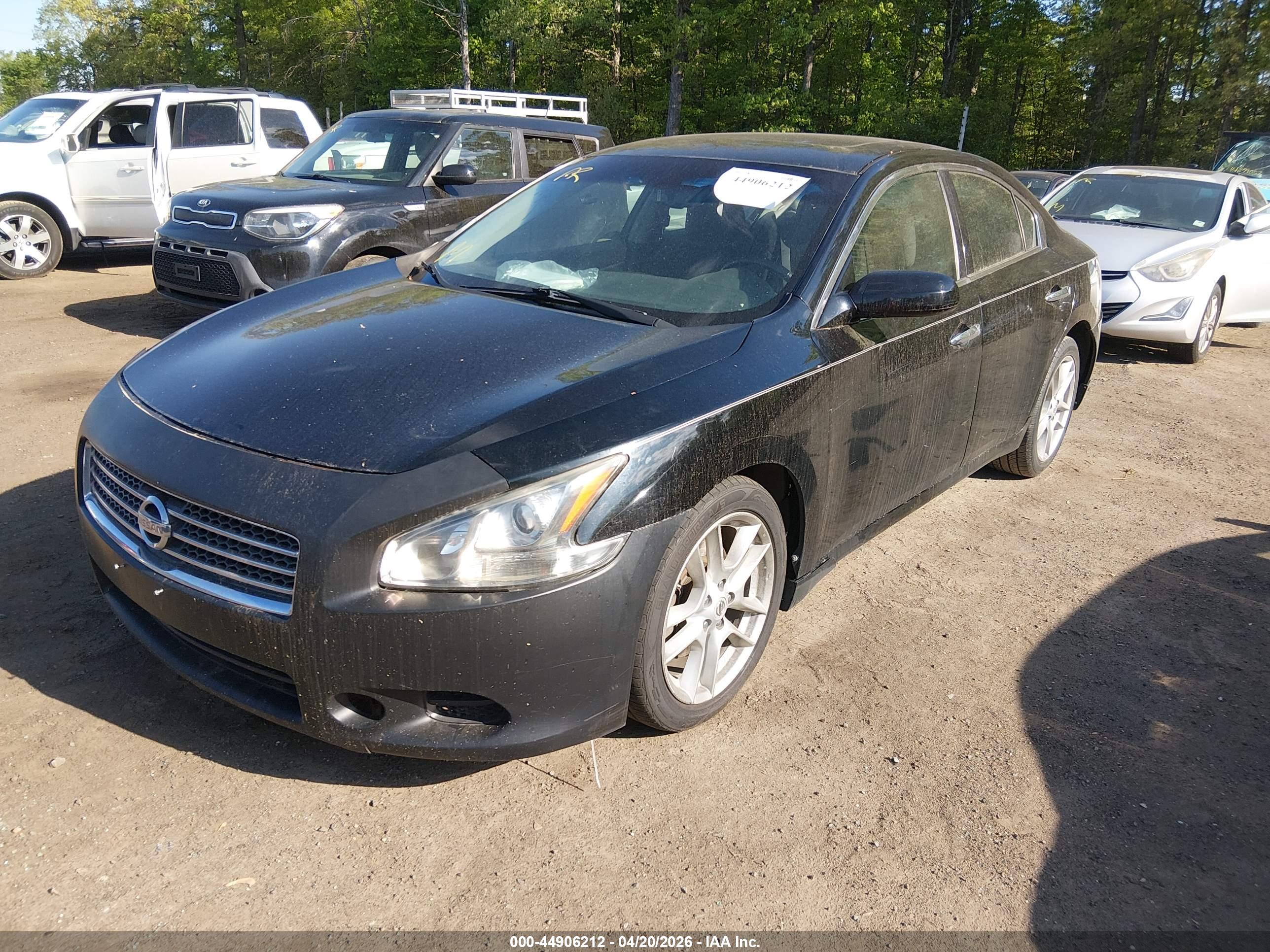 NISSAN MAXIMA image 2