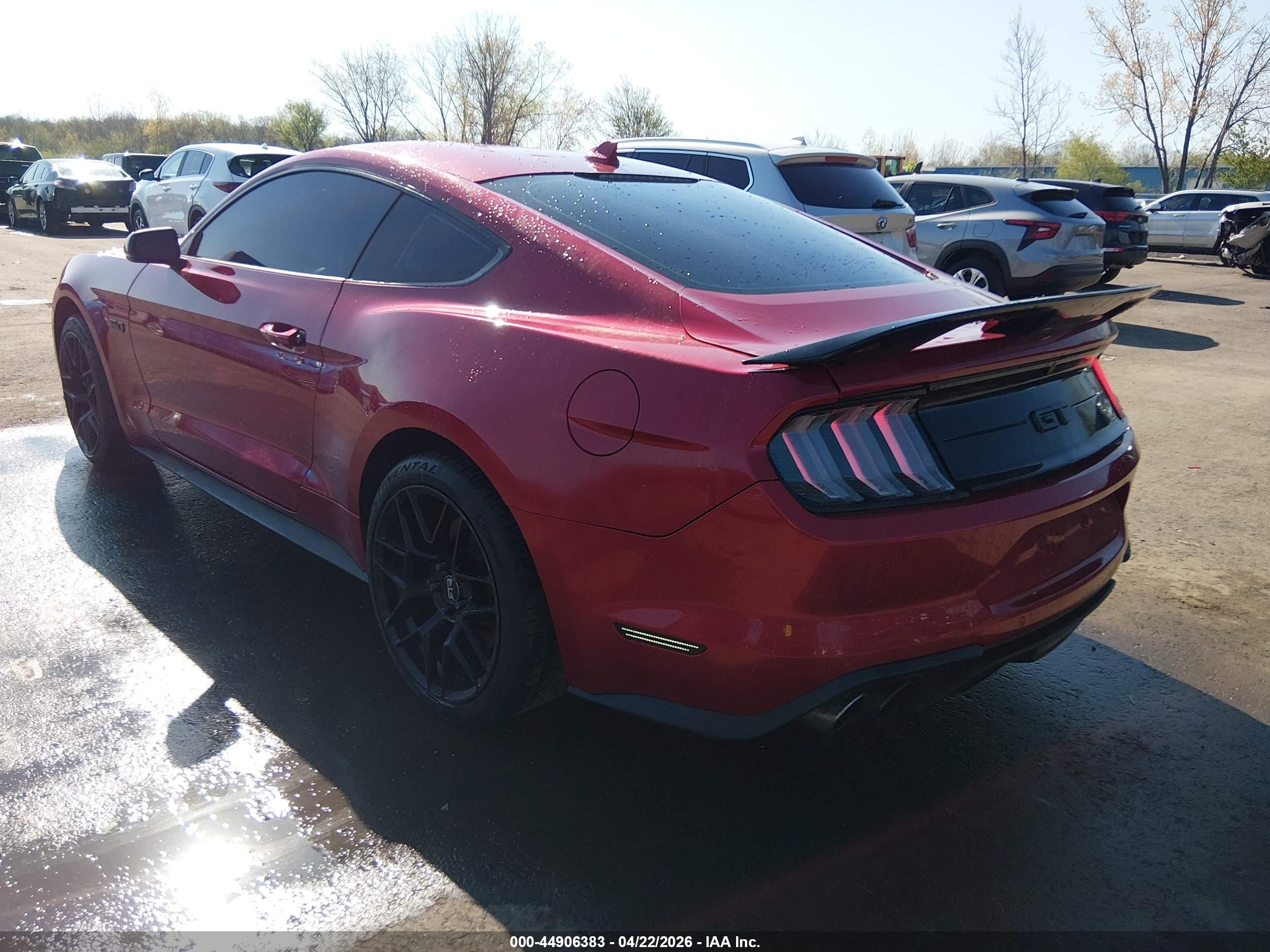 FORD MUSTANG image 3