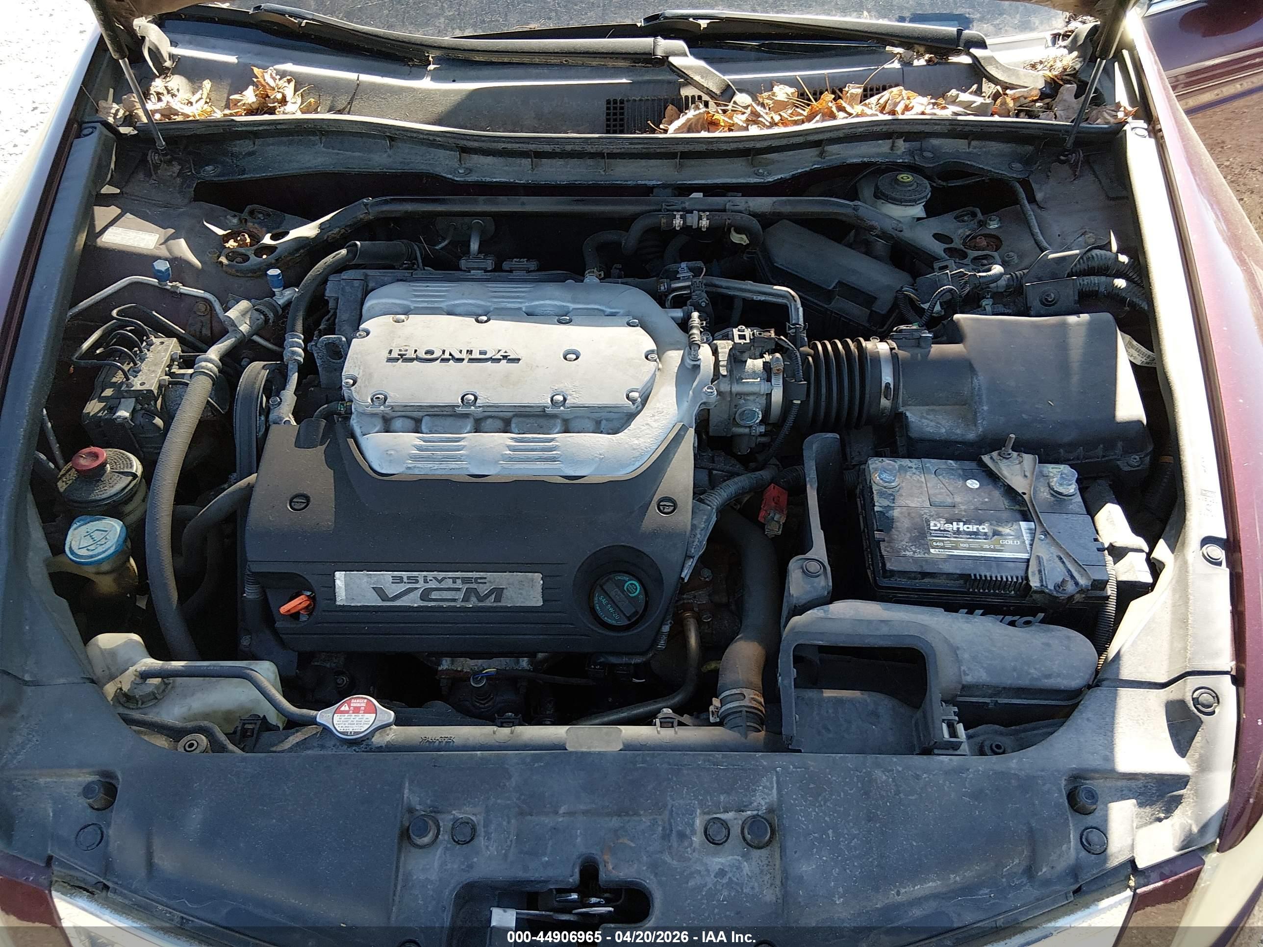 HONDA ACCORD image 10