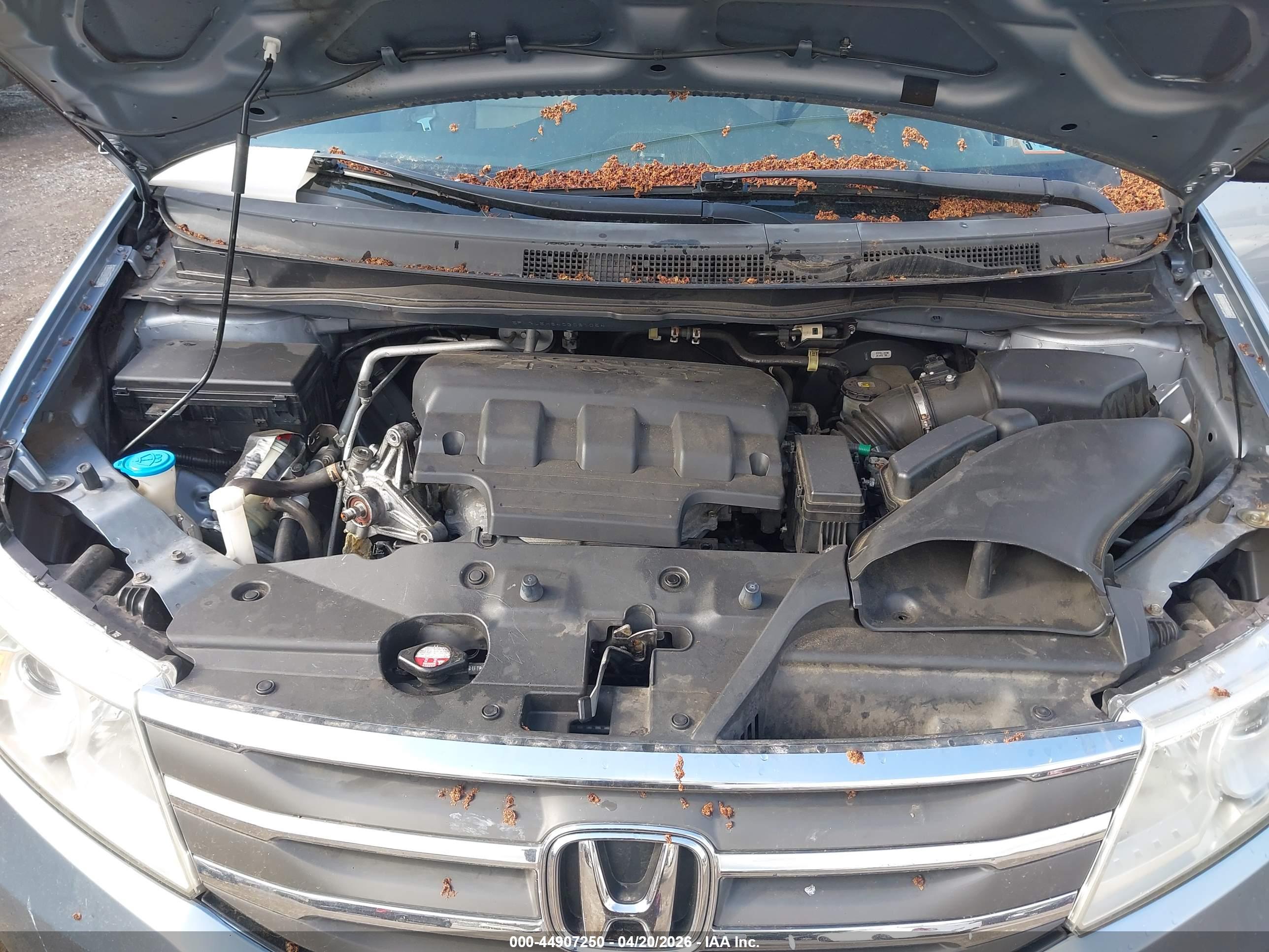 HONDA ODYSSEY image 10