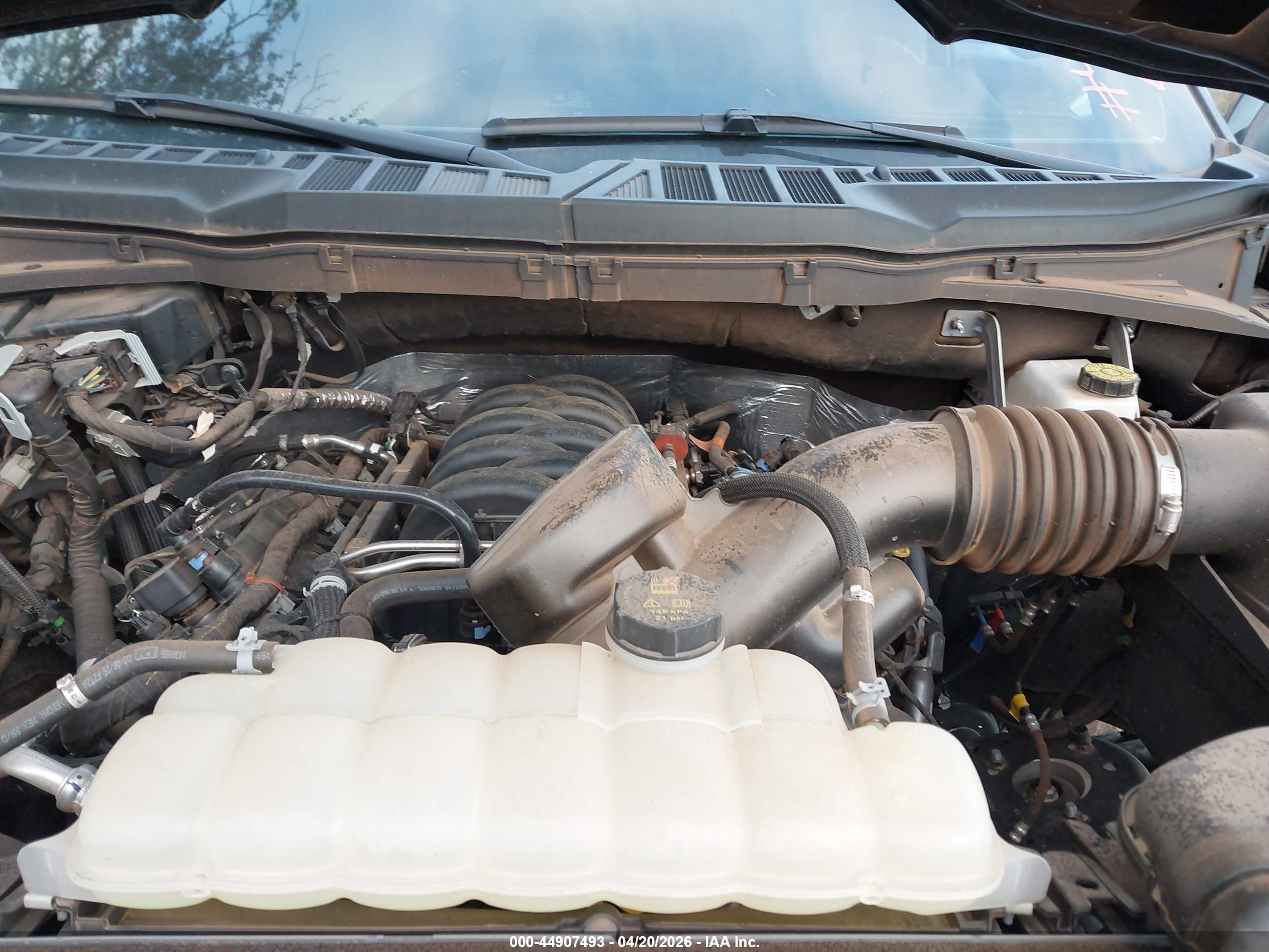 FORD F-150 image 10