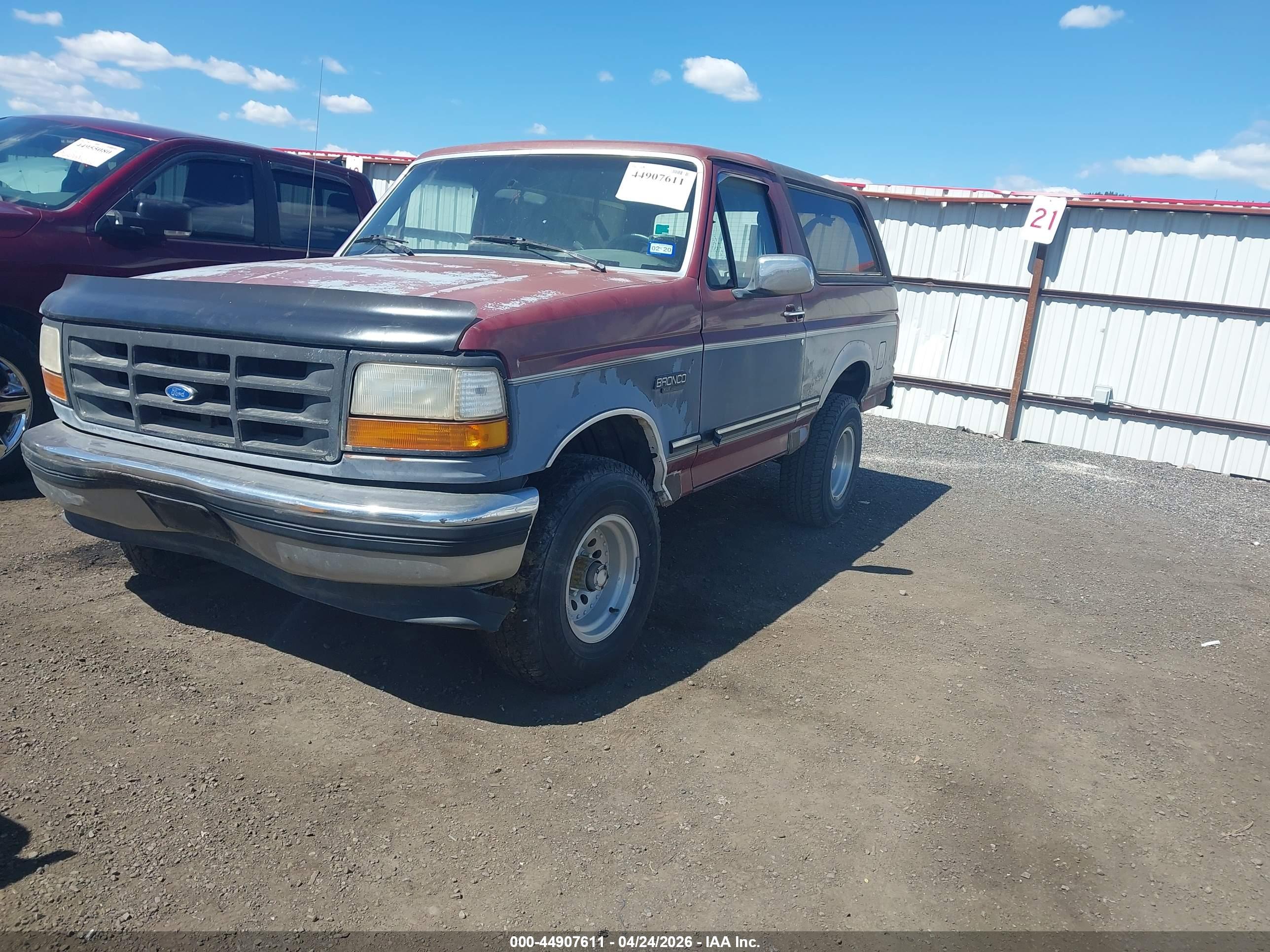FORD BRONCO image 2