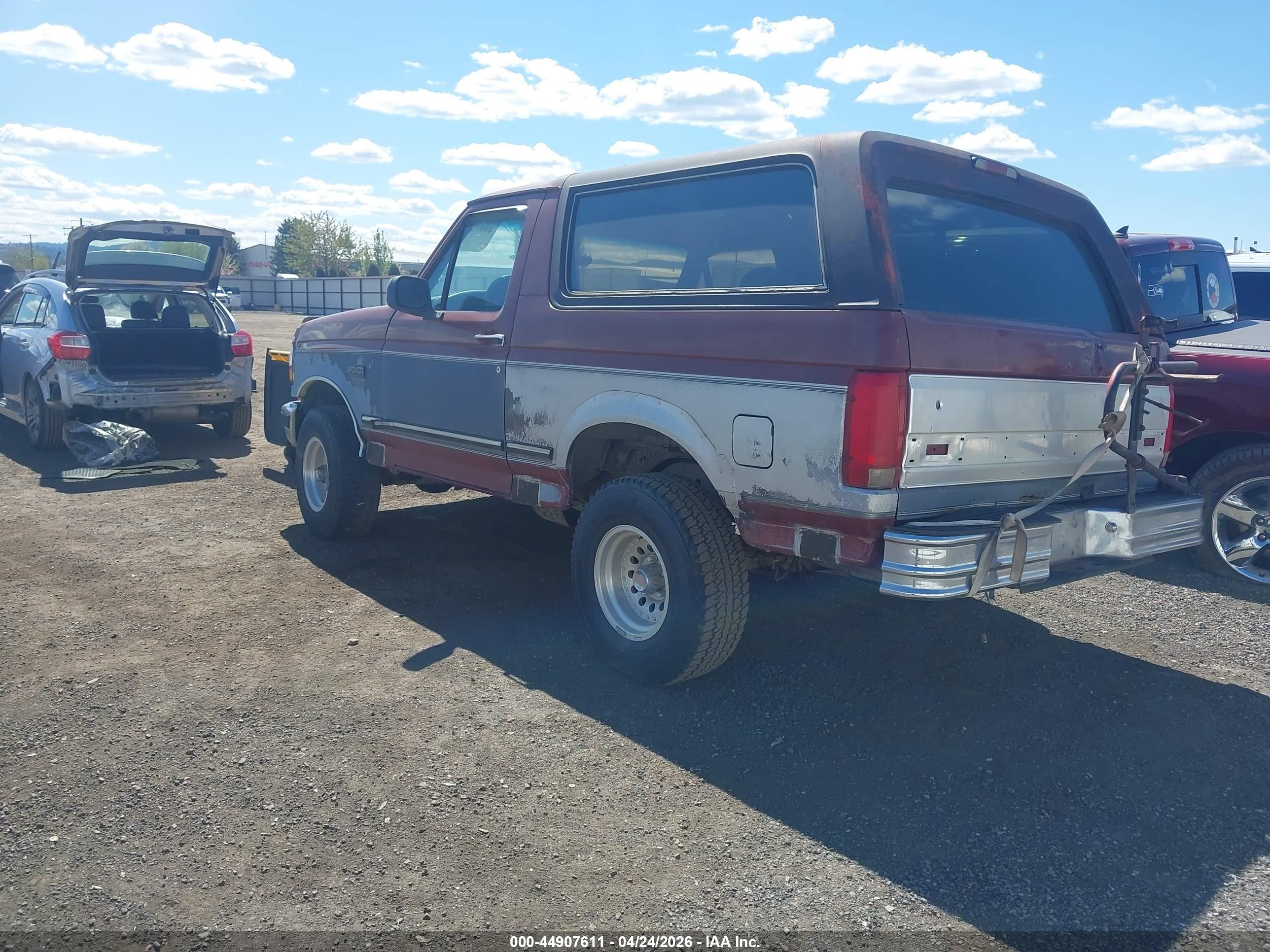 FORD BRONCO image 3