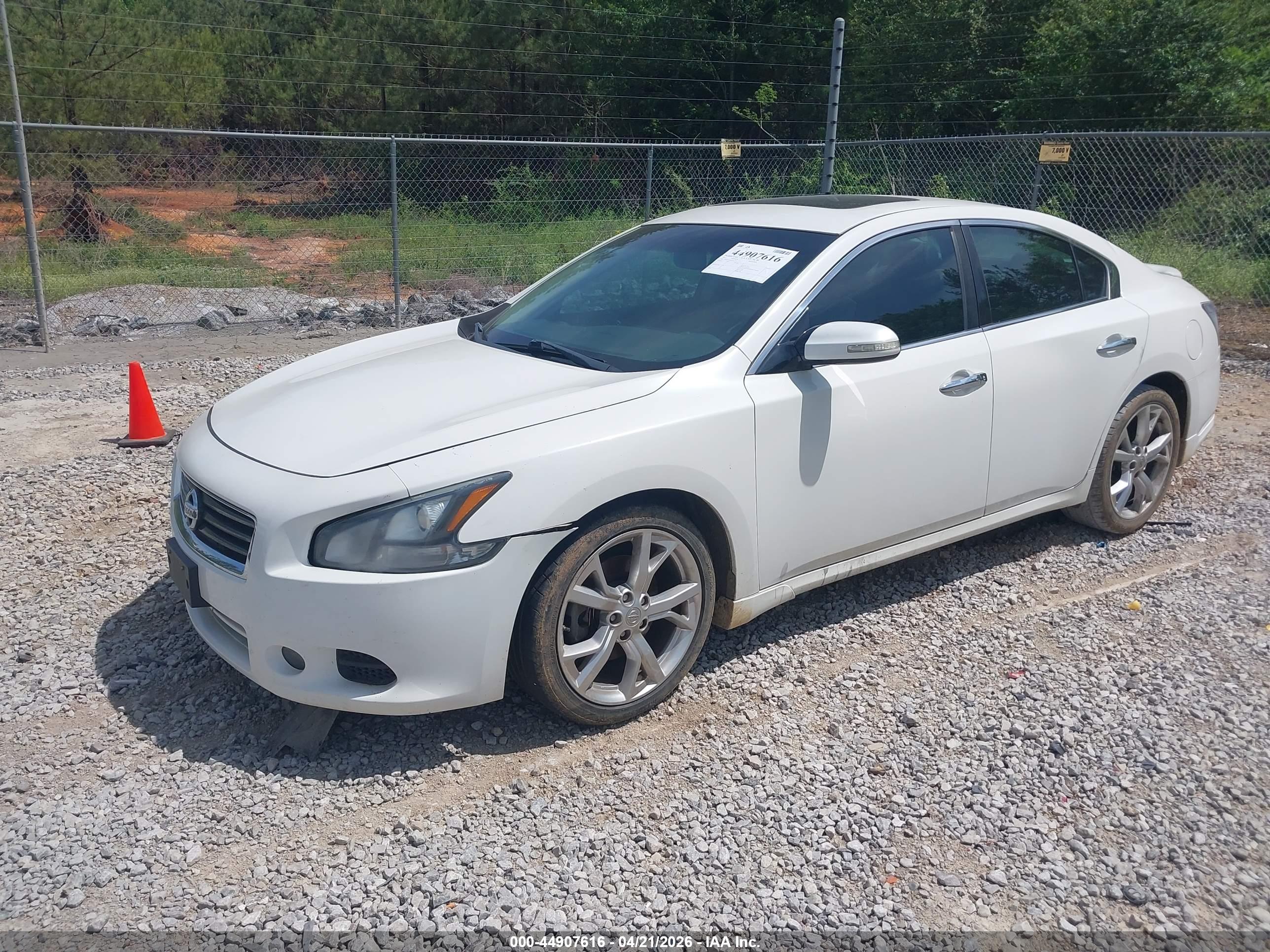 NISSAN MAXIMA image 2