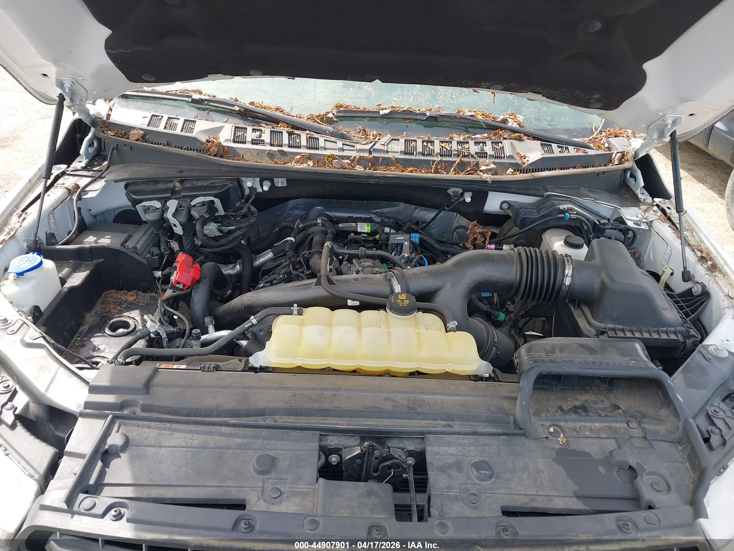 FORD F-150 image 10