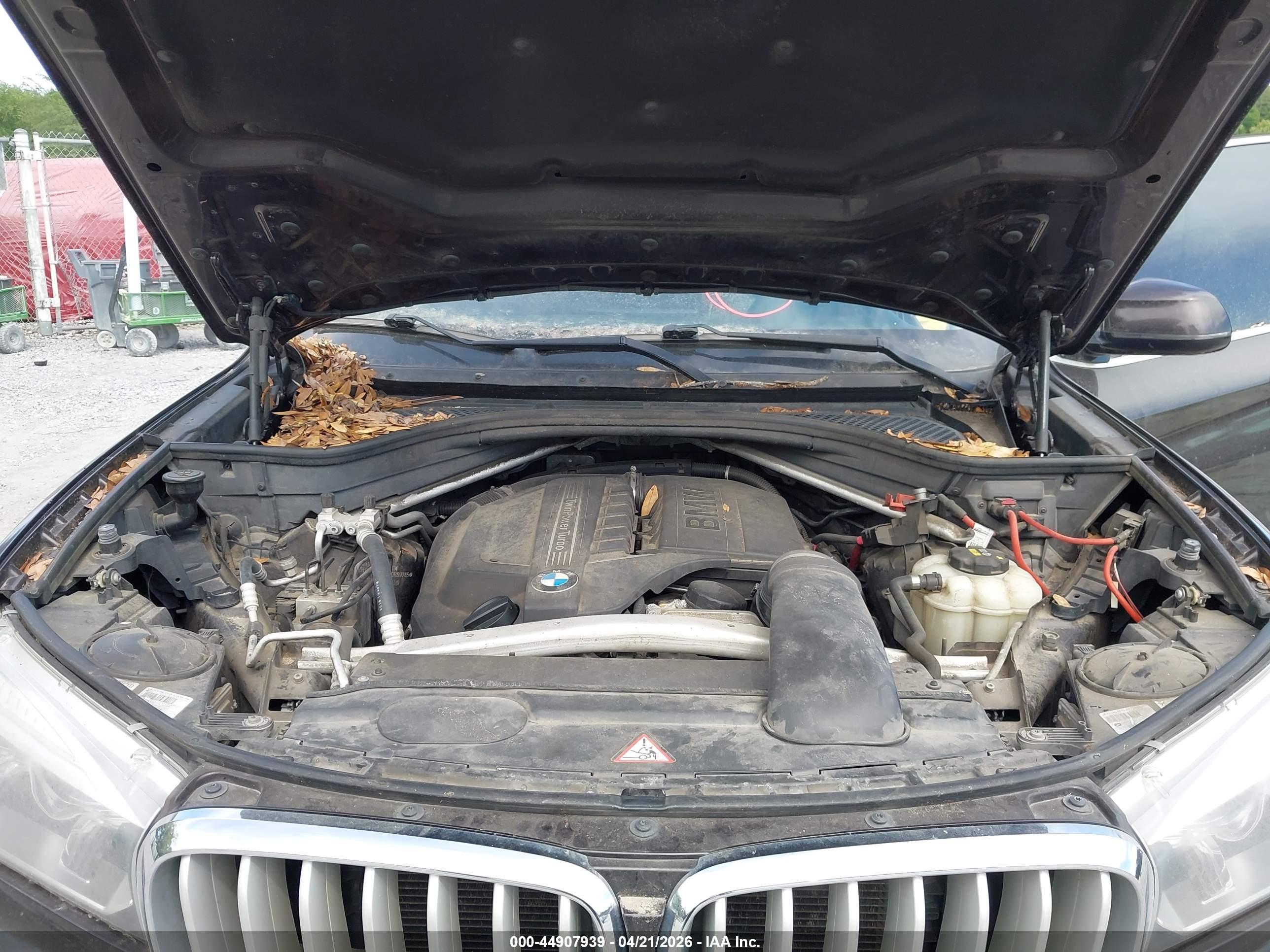 BMW X5 image 10