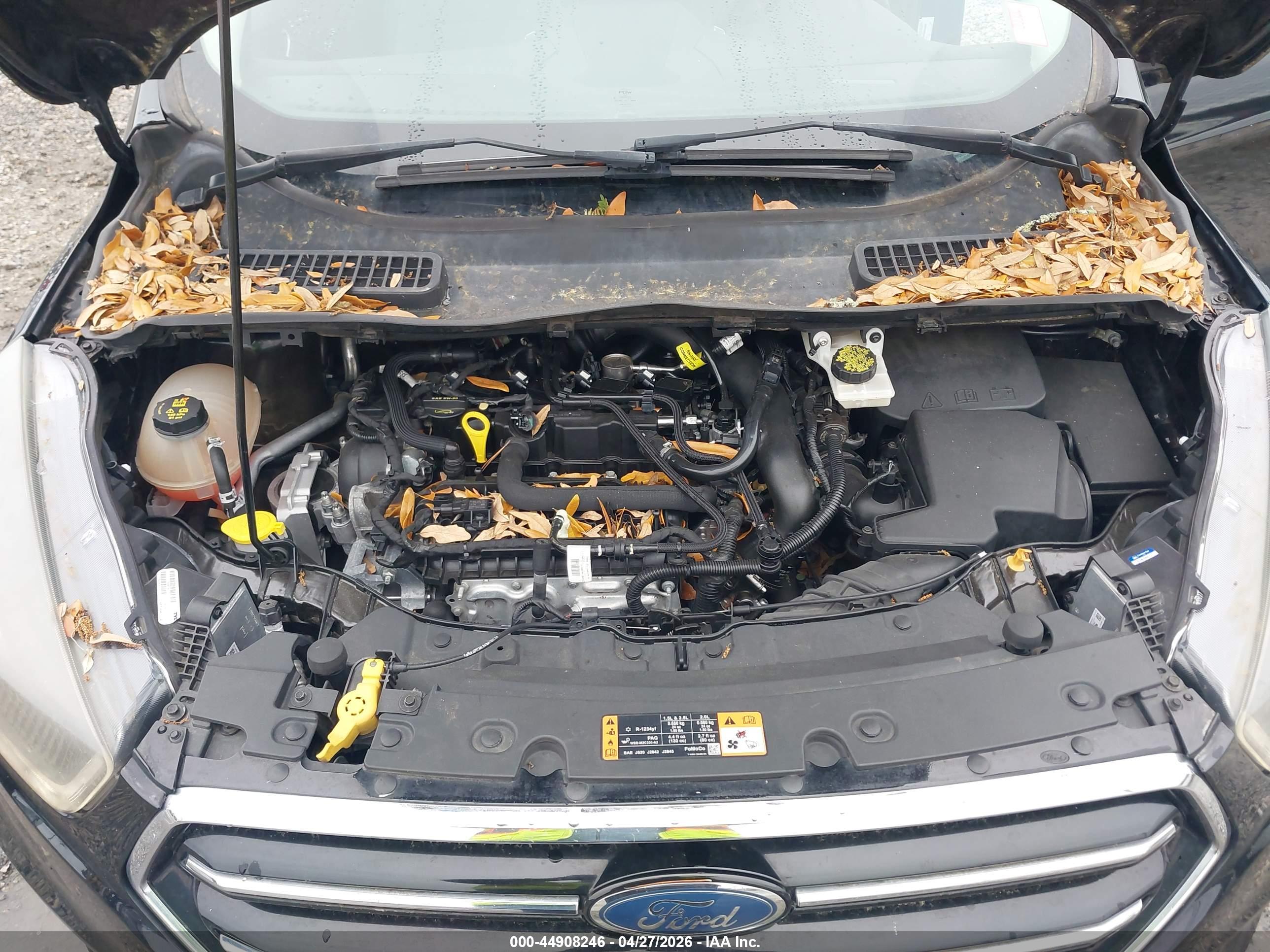FORD ESCAPE image 10