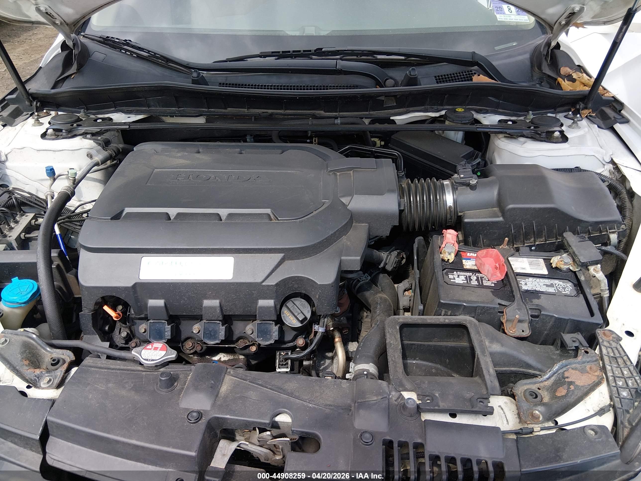 HONDA ACCORD image 10