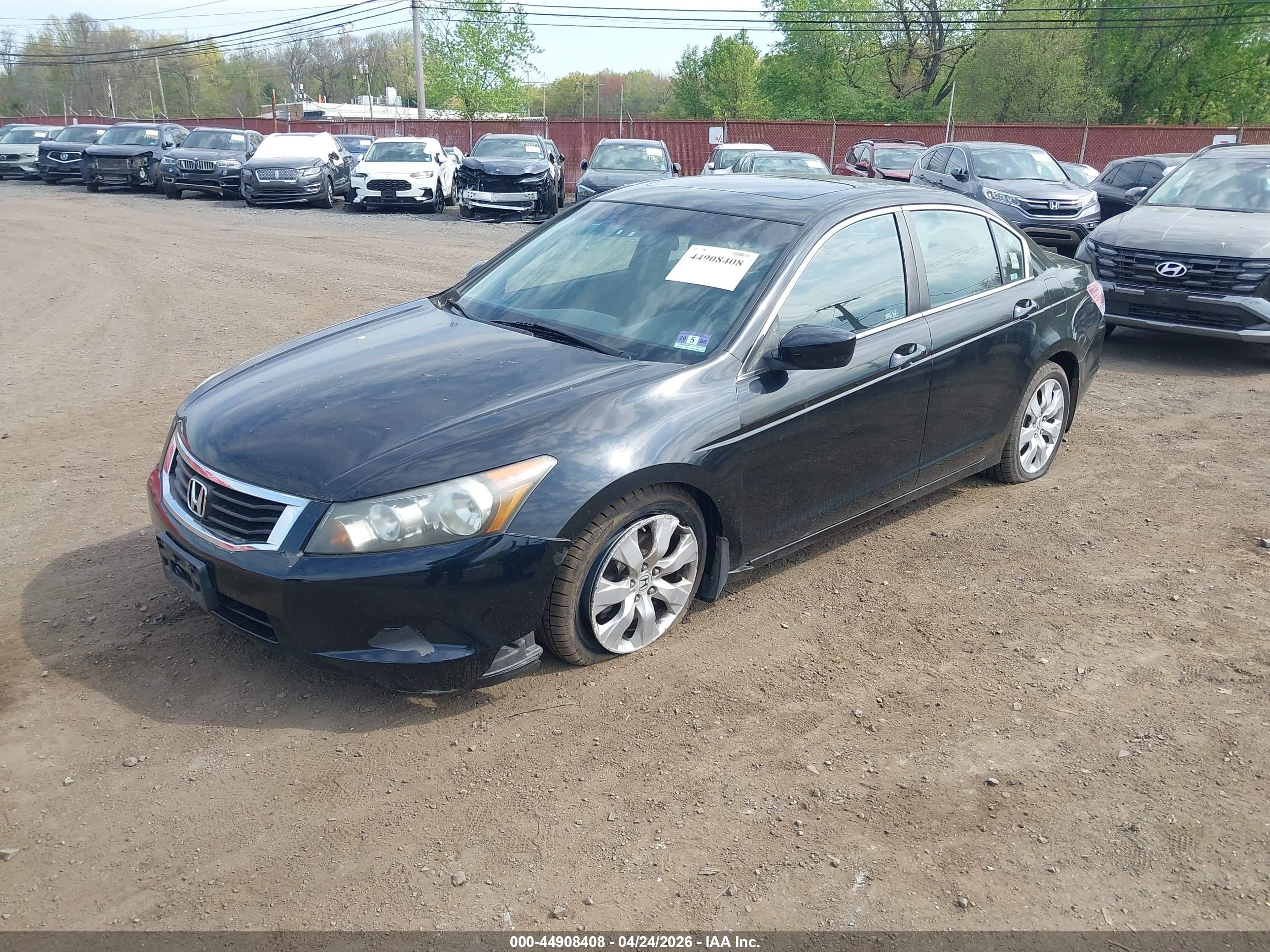 HONDA ACCORD image 2
