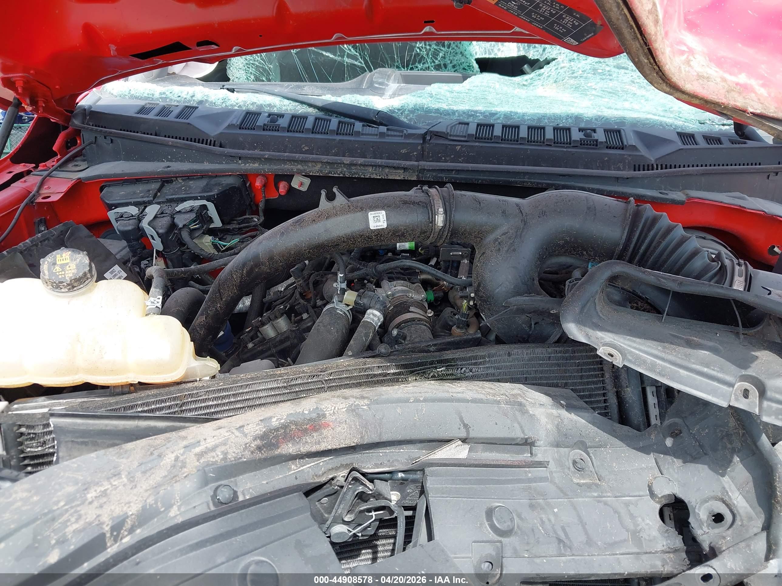 FORD F-150 image 10