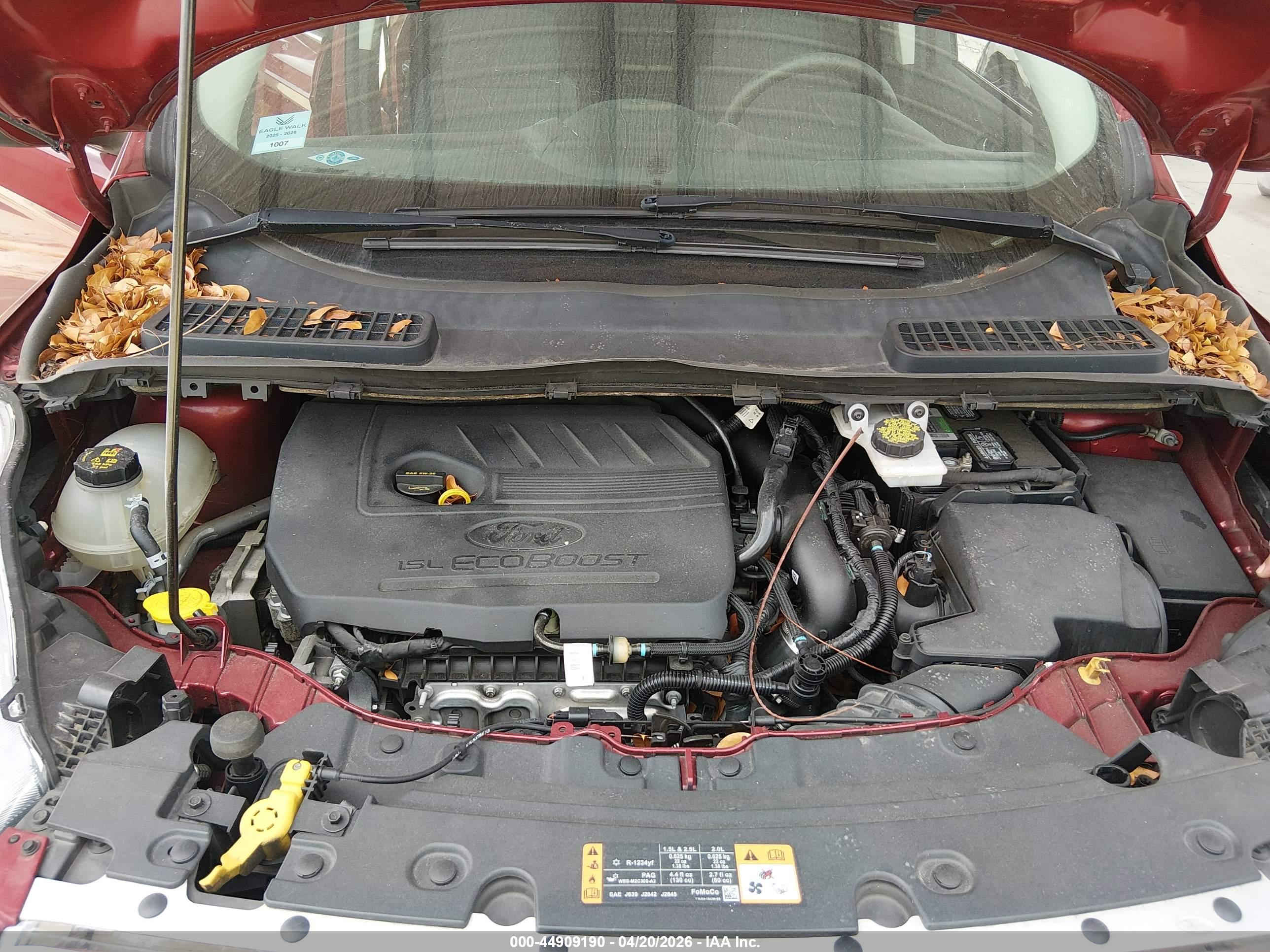FORD ESCAPE image 10