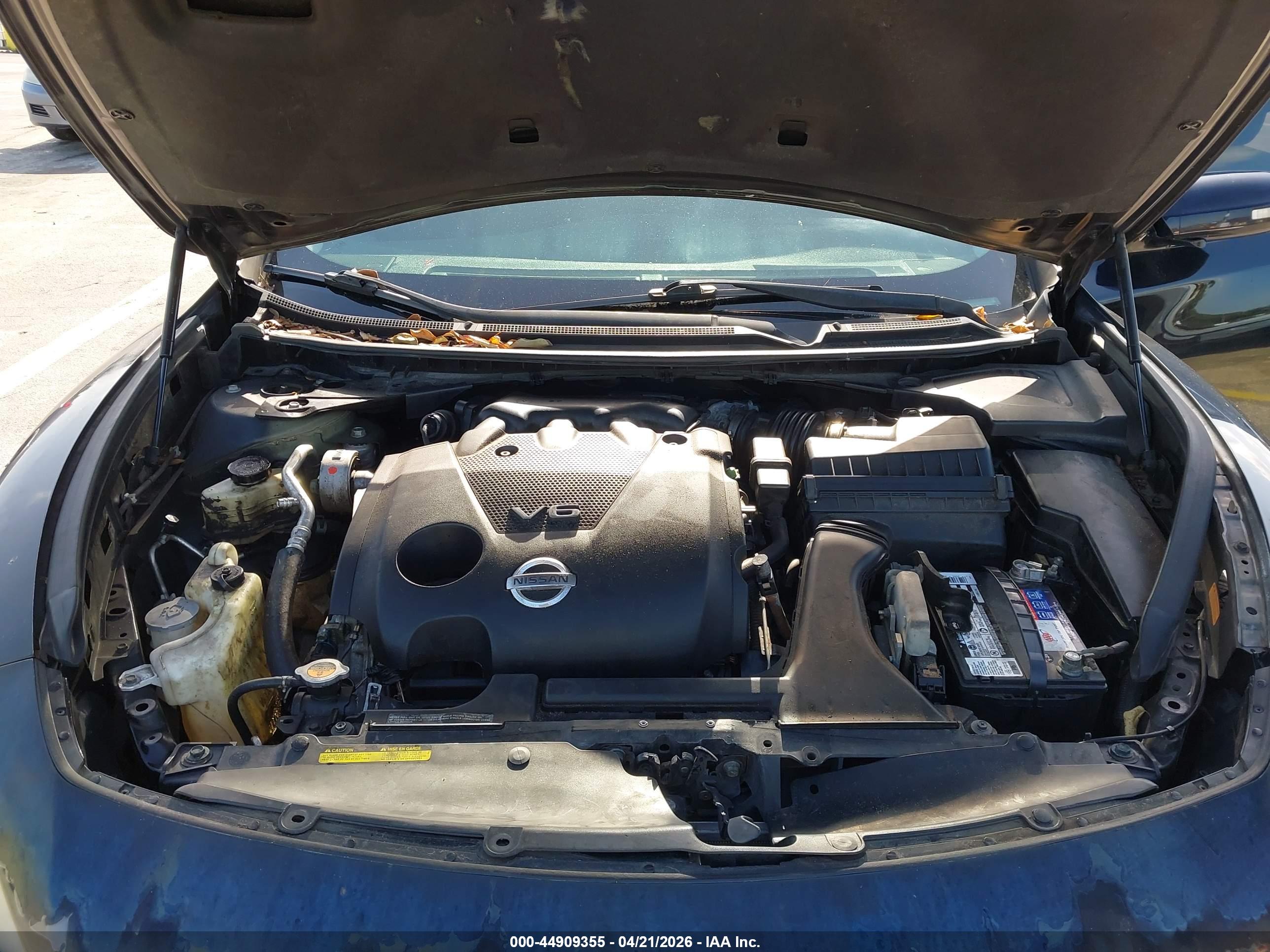 NISSAN MAXIMA image 10