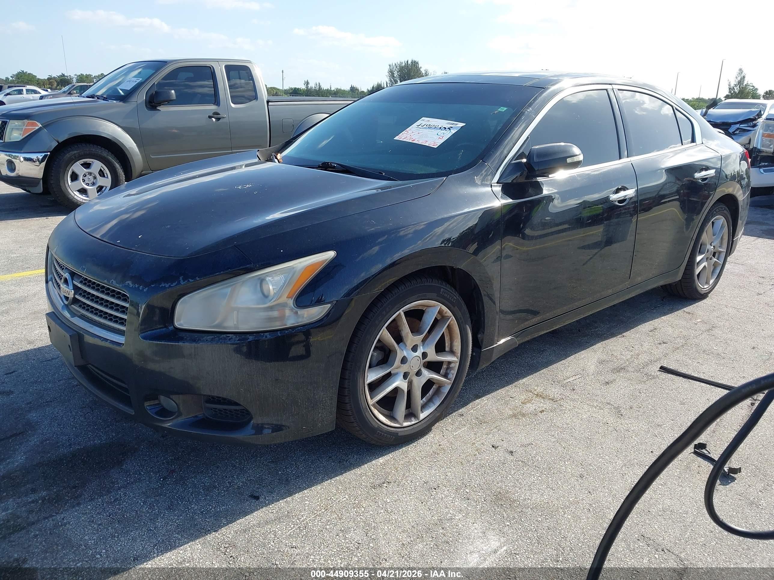 NISSAN MAXIMA image 2