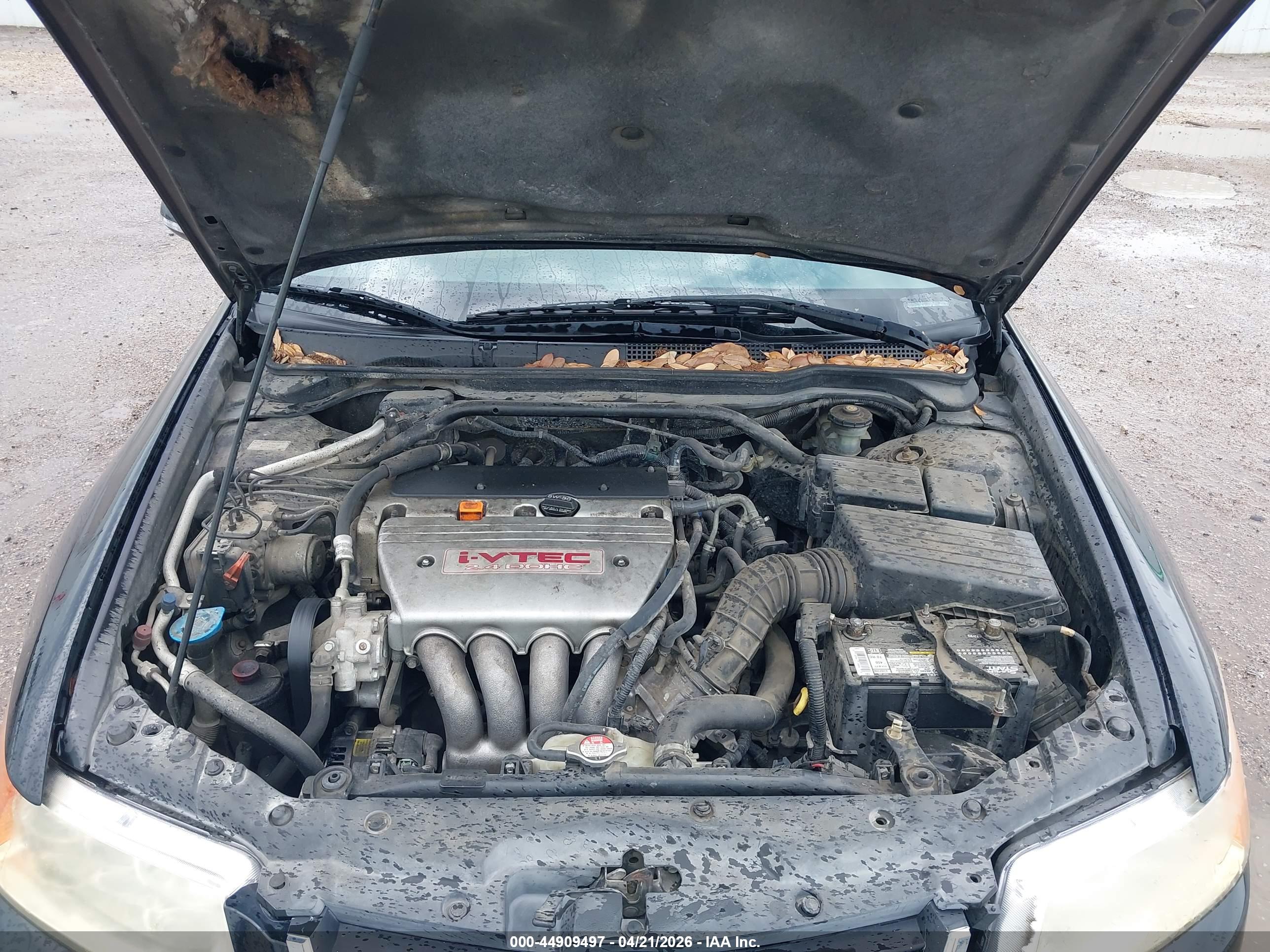 ACURA TSX image 10