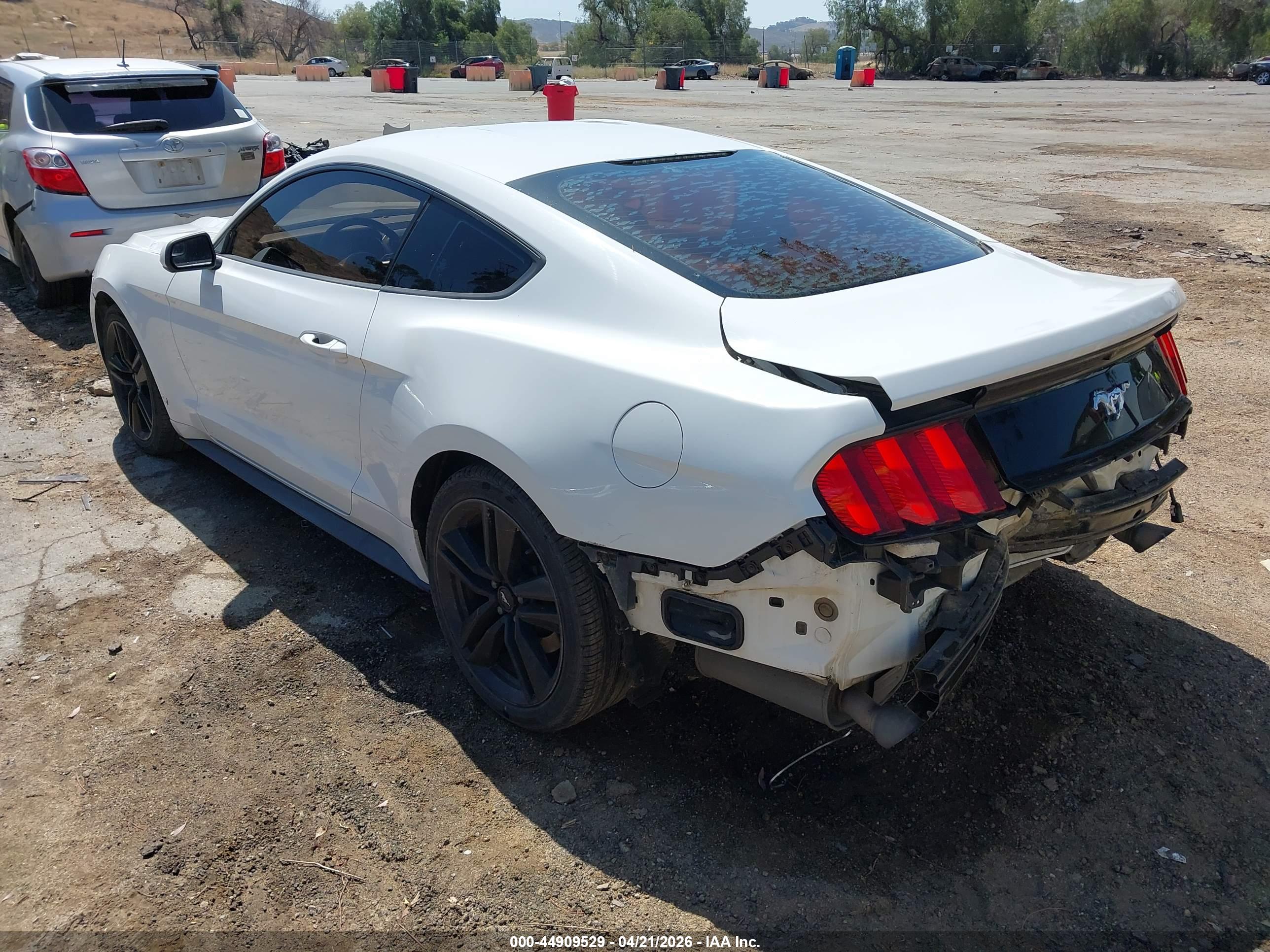 FORD MUSTANG image 3