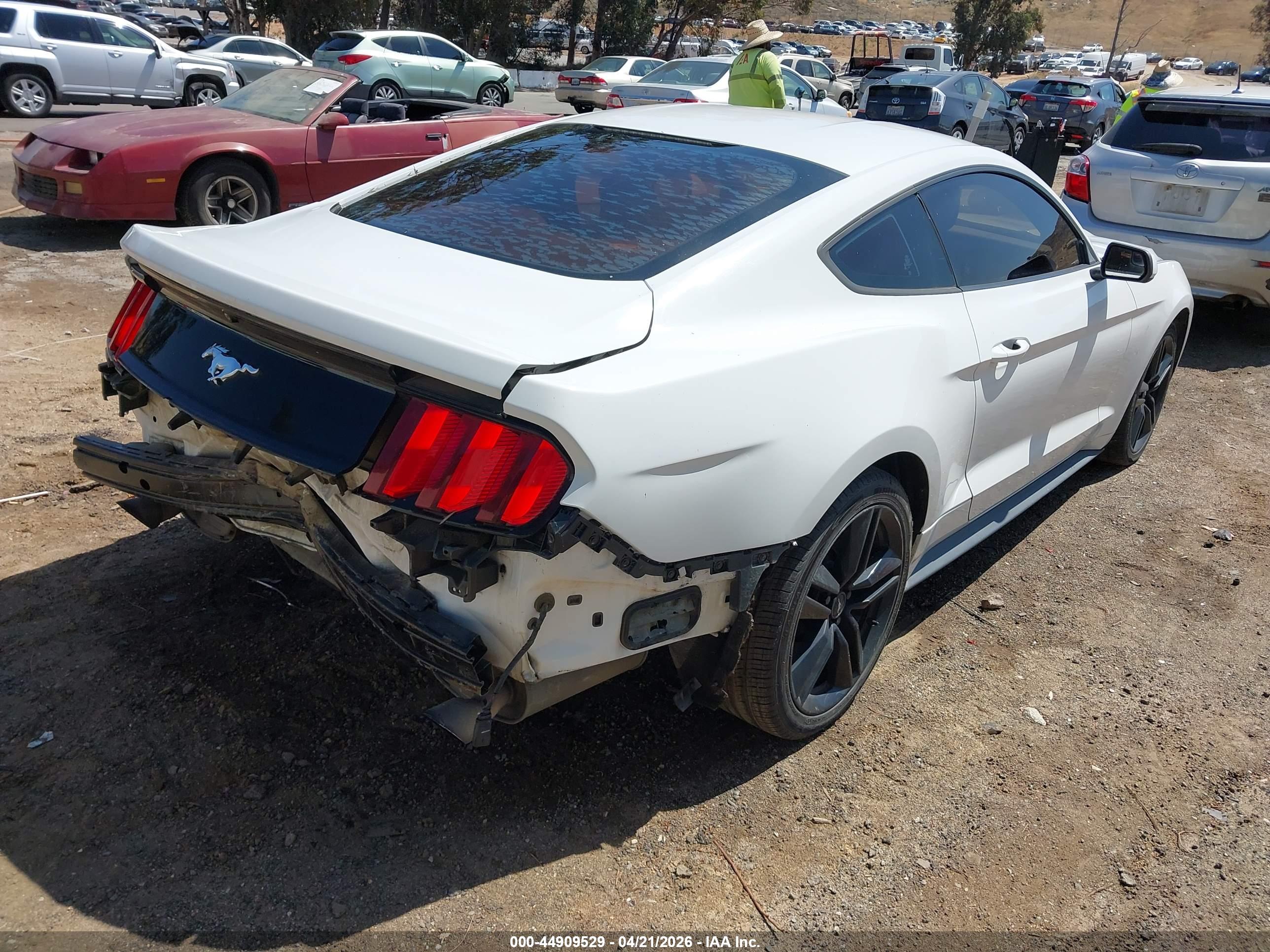 FORD MUSTANG image 4
