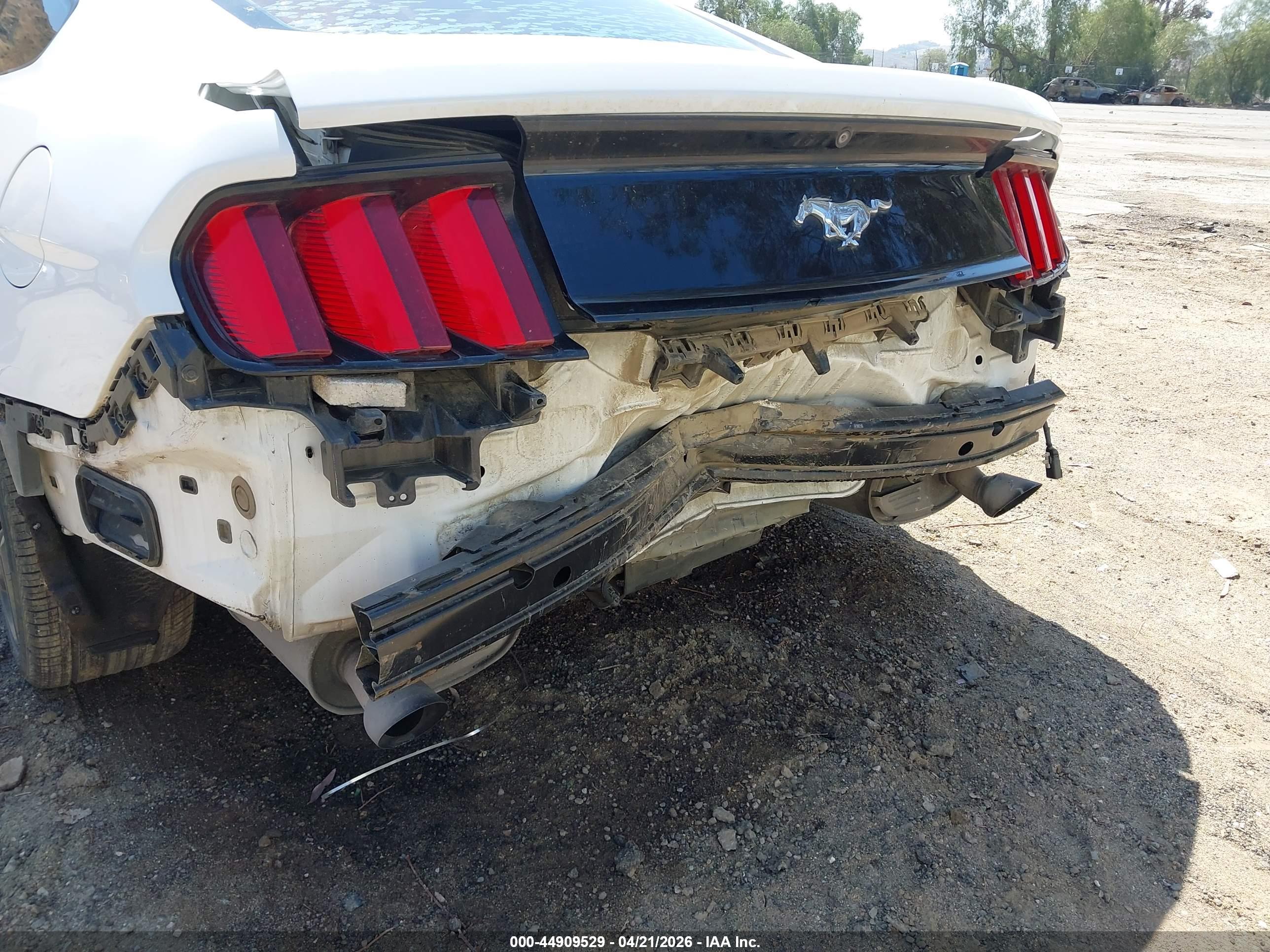 FORD MUSTANG image 6