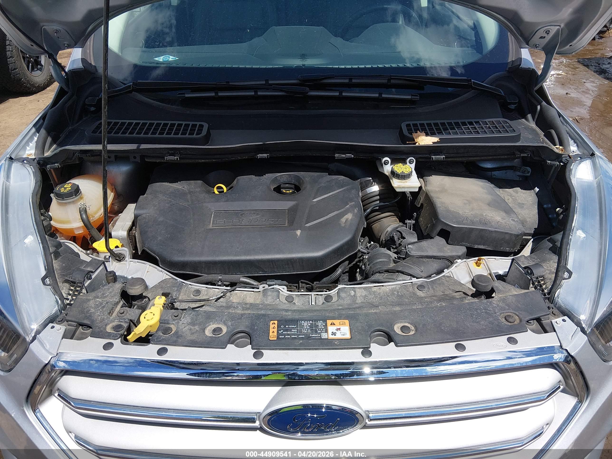FORD ESCAPE image 10