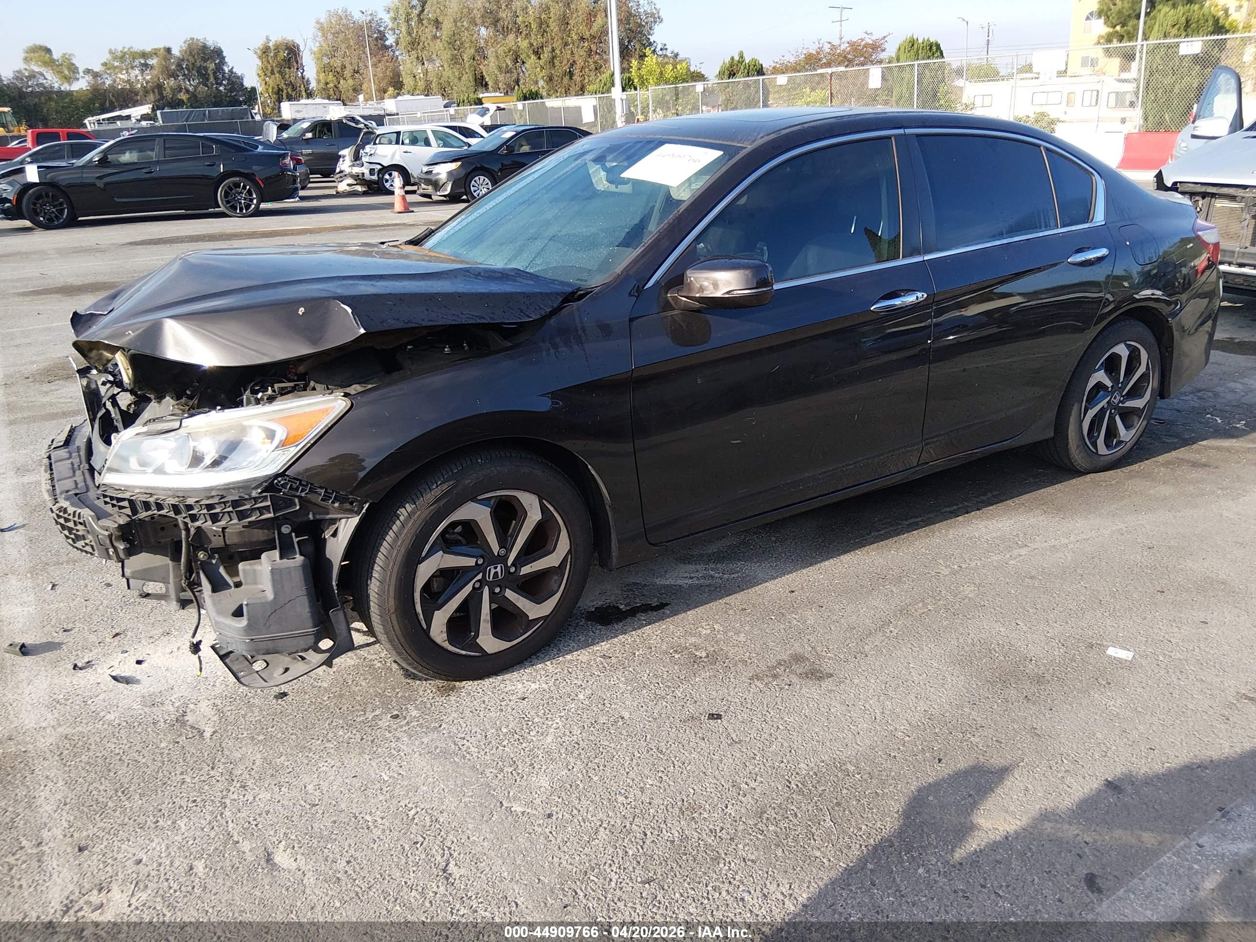 HONDA ACCORD image 2