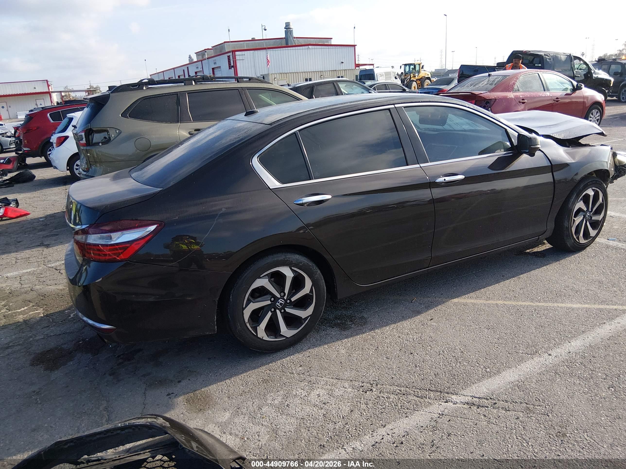 HONDA ACCORD image 4
