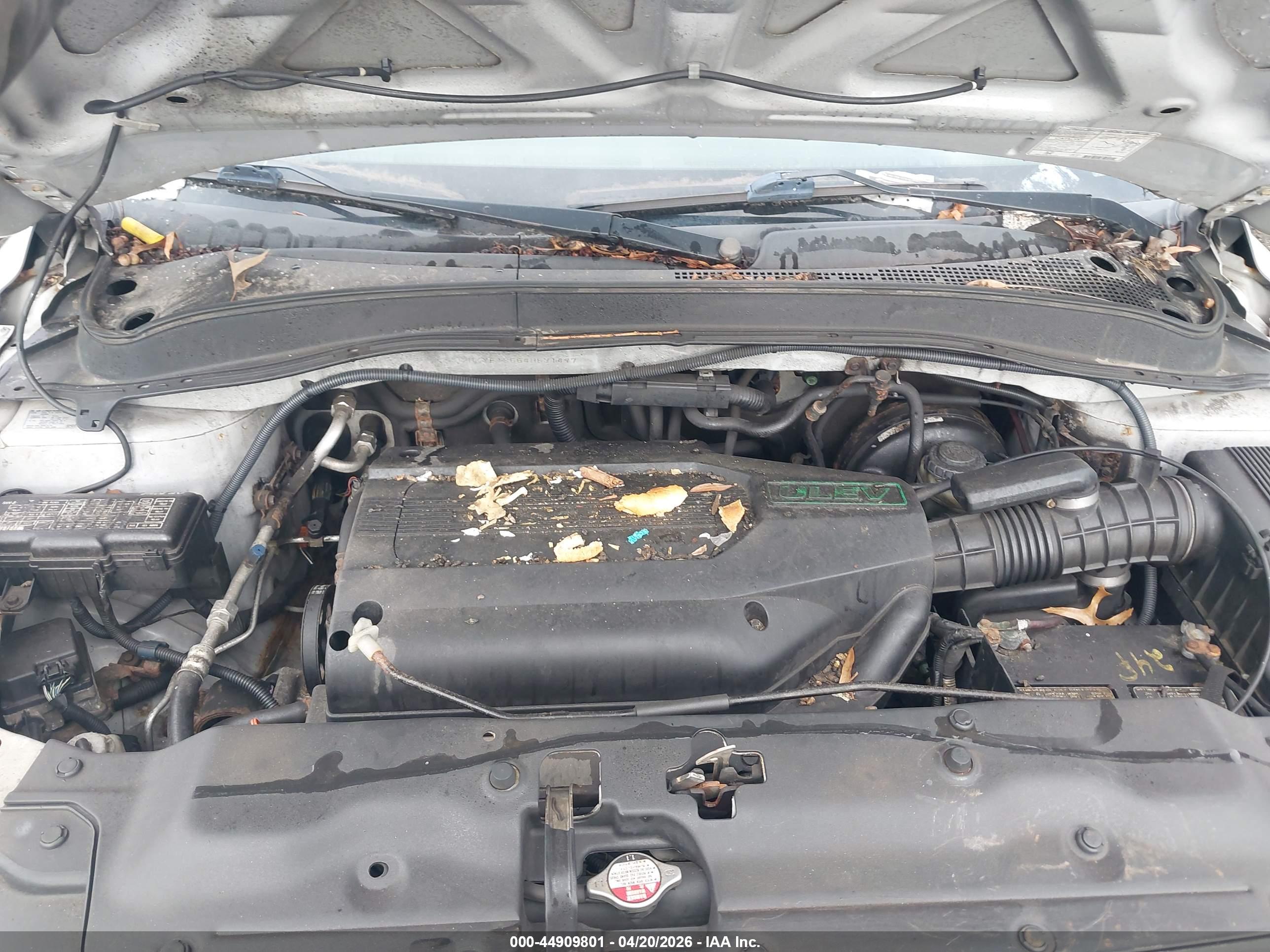 HONDA PILOT image 10