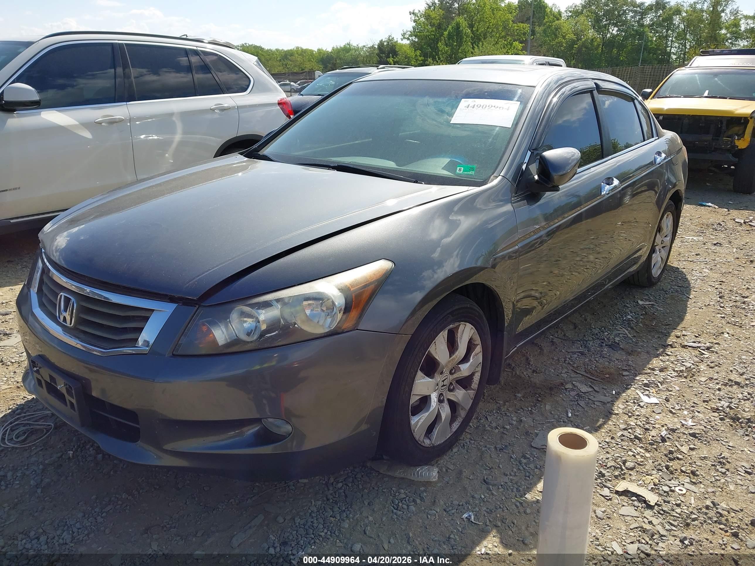 HONDA ACCORD image 2