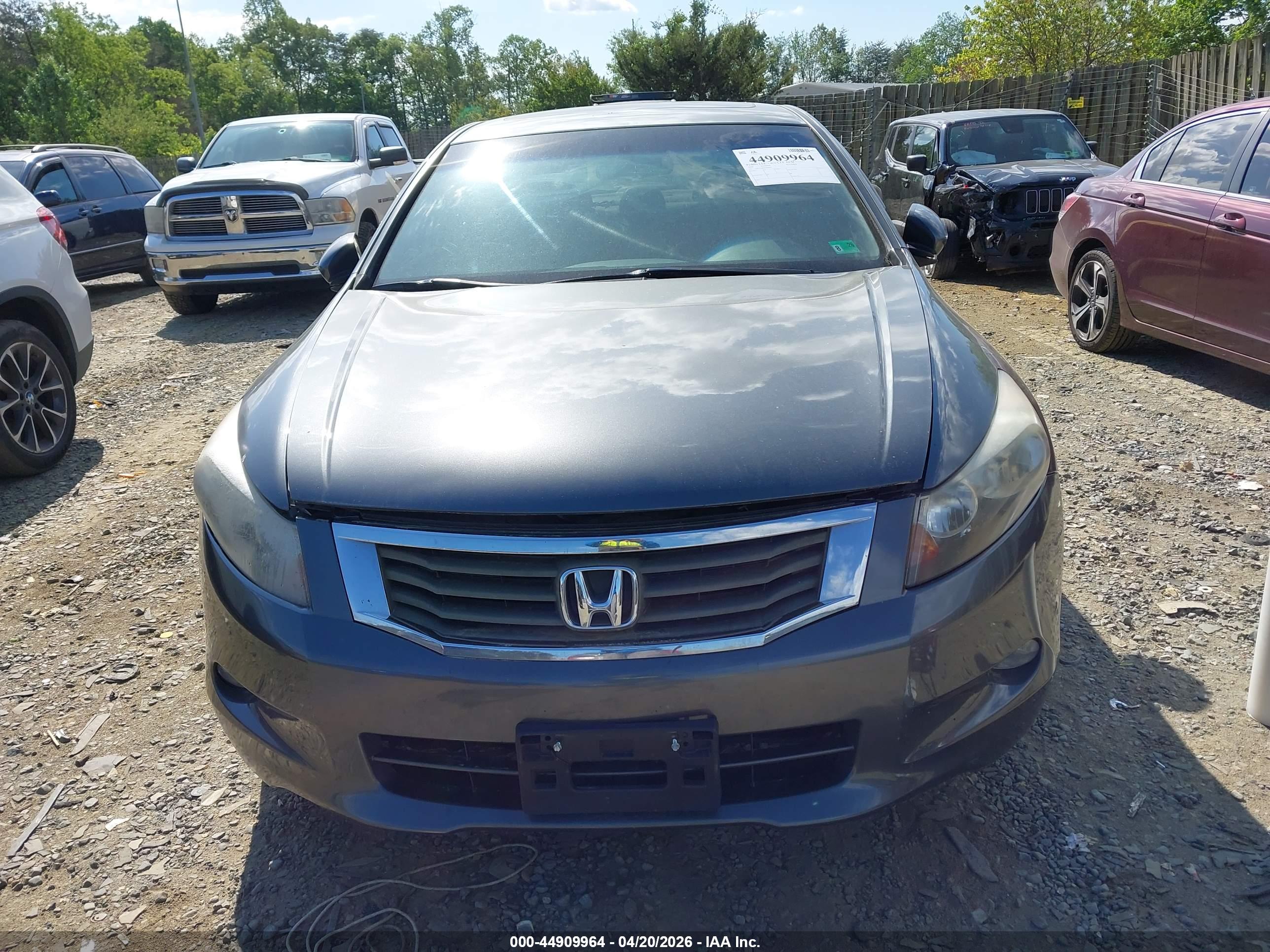 HONDA ACCORD image 6